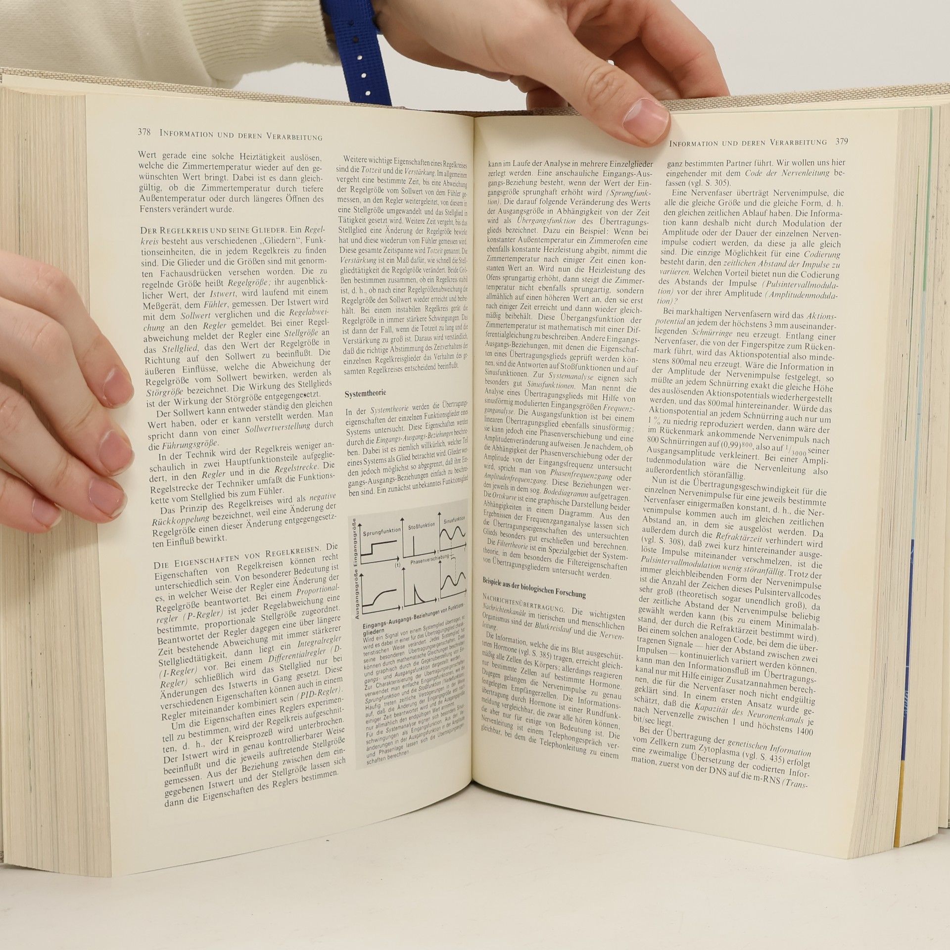 Autorenkollektiv Wissen Im ÜBerblick