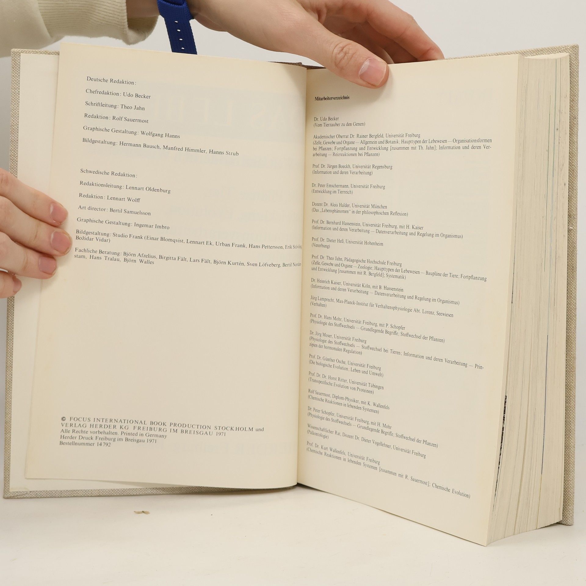Autorenkollektiv Wissen Im ÜBerblick