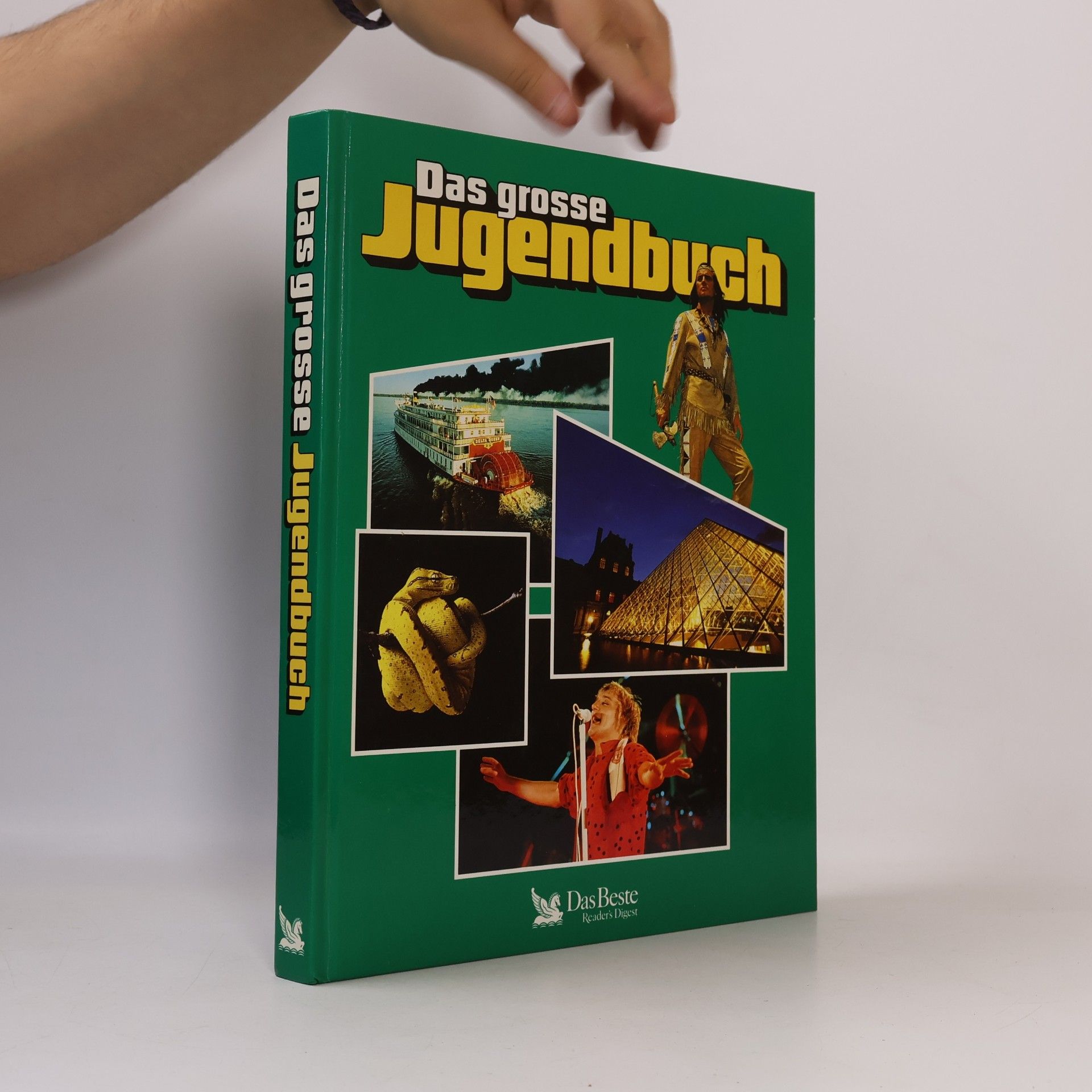 Kolektív autorov Das grosse Jugendbuch