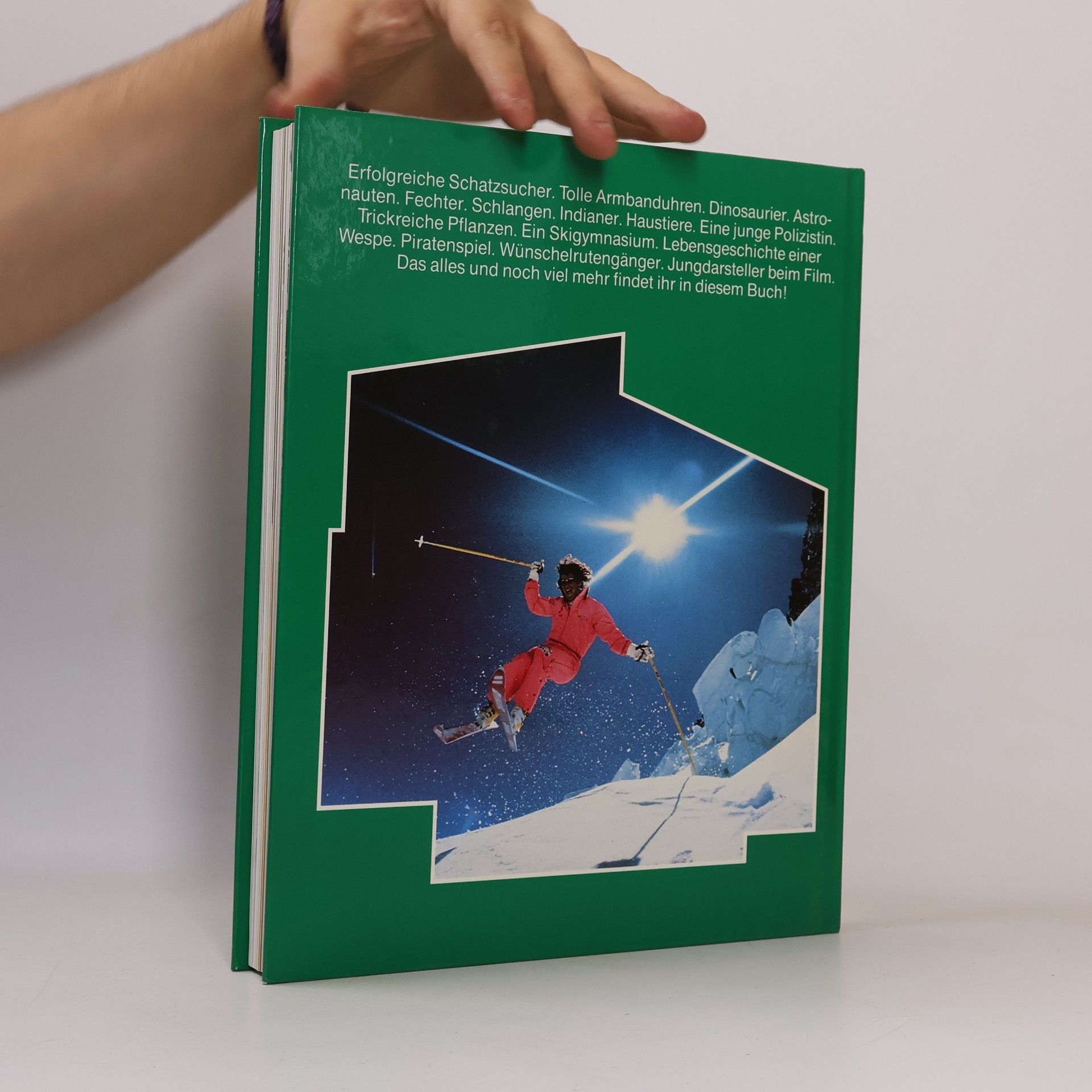 Kolektív autorov Das grosse Jugendbuch