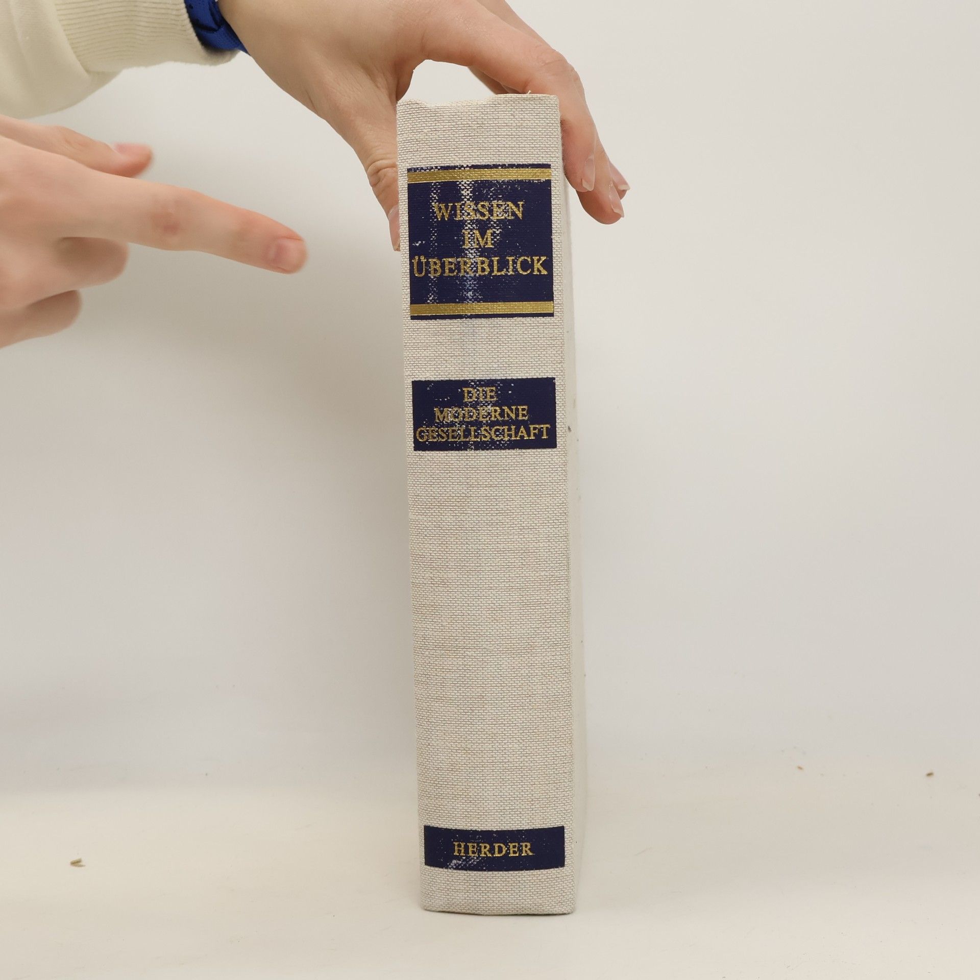 Alfred Bellebaum Die moderne Gesellschaft