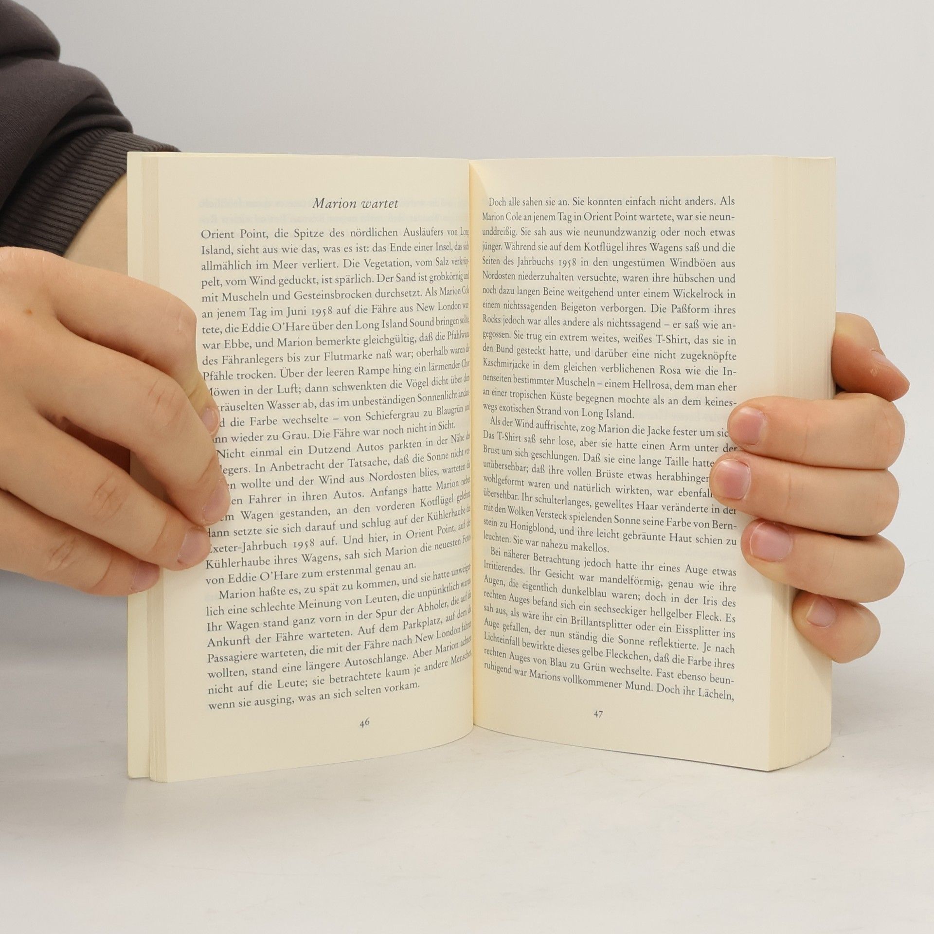 John Irving Witwe für ein Jahr