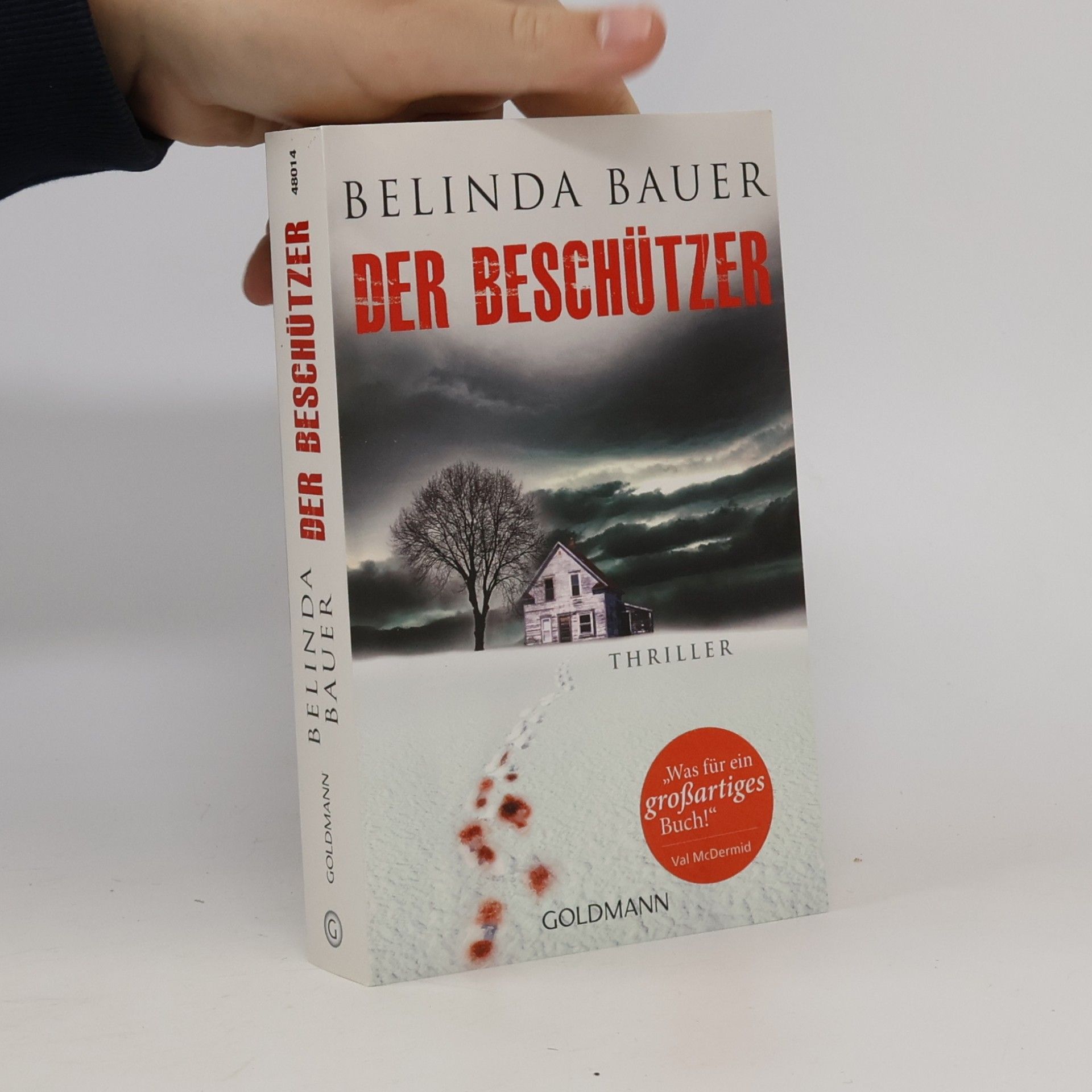 Der Beschützer