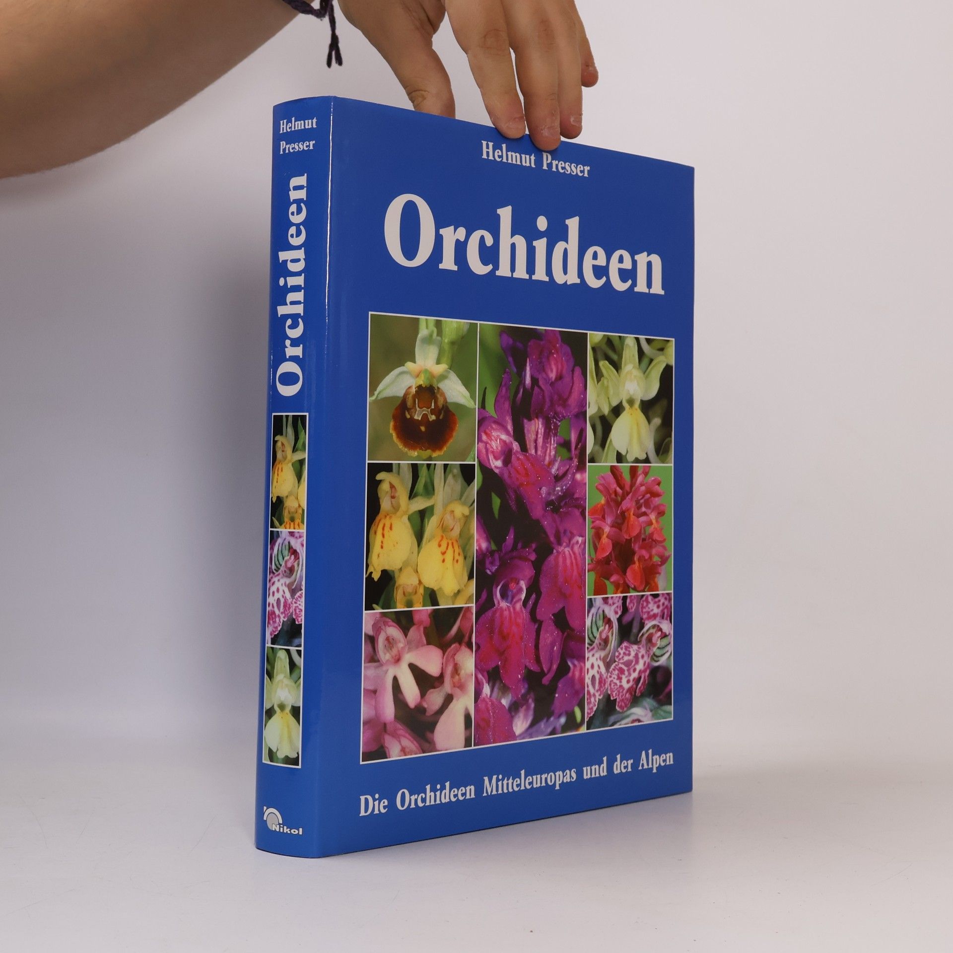 Orchideen