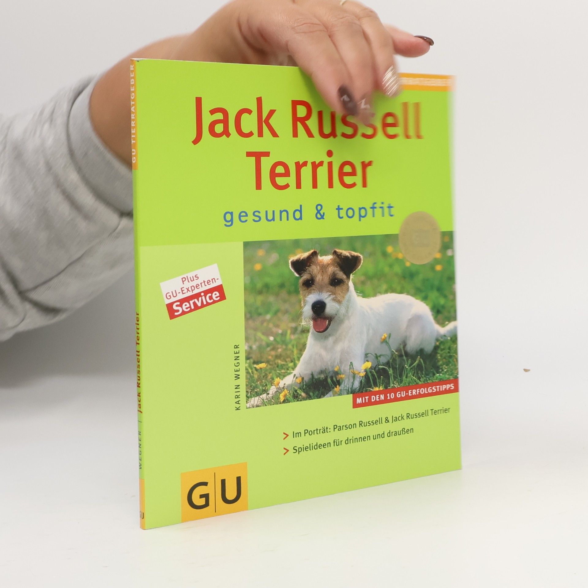 Jack Russell Terrier