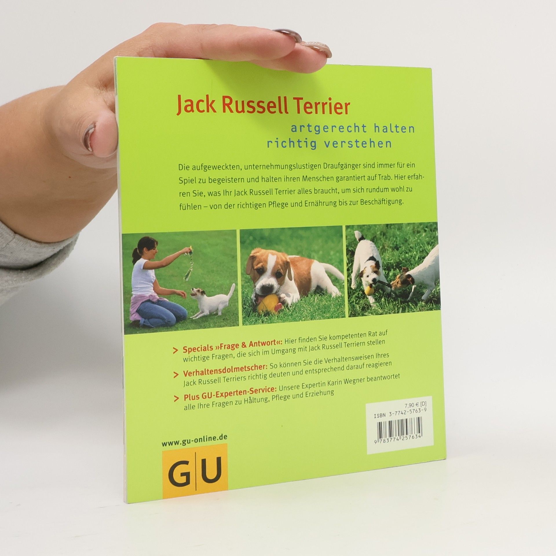 Karin Wegner Jack Russell Terrier