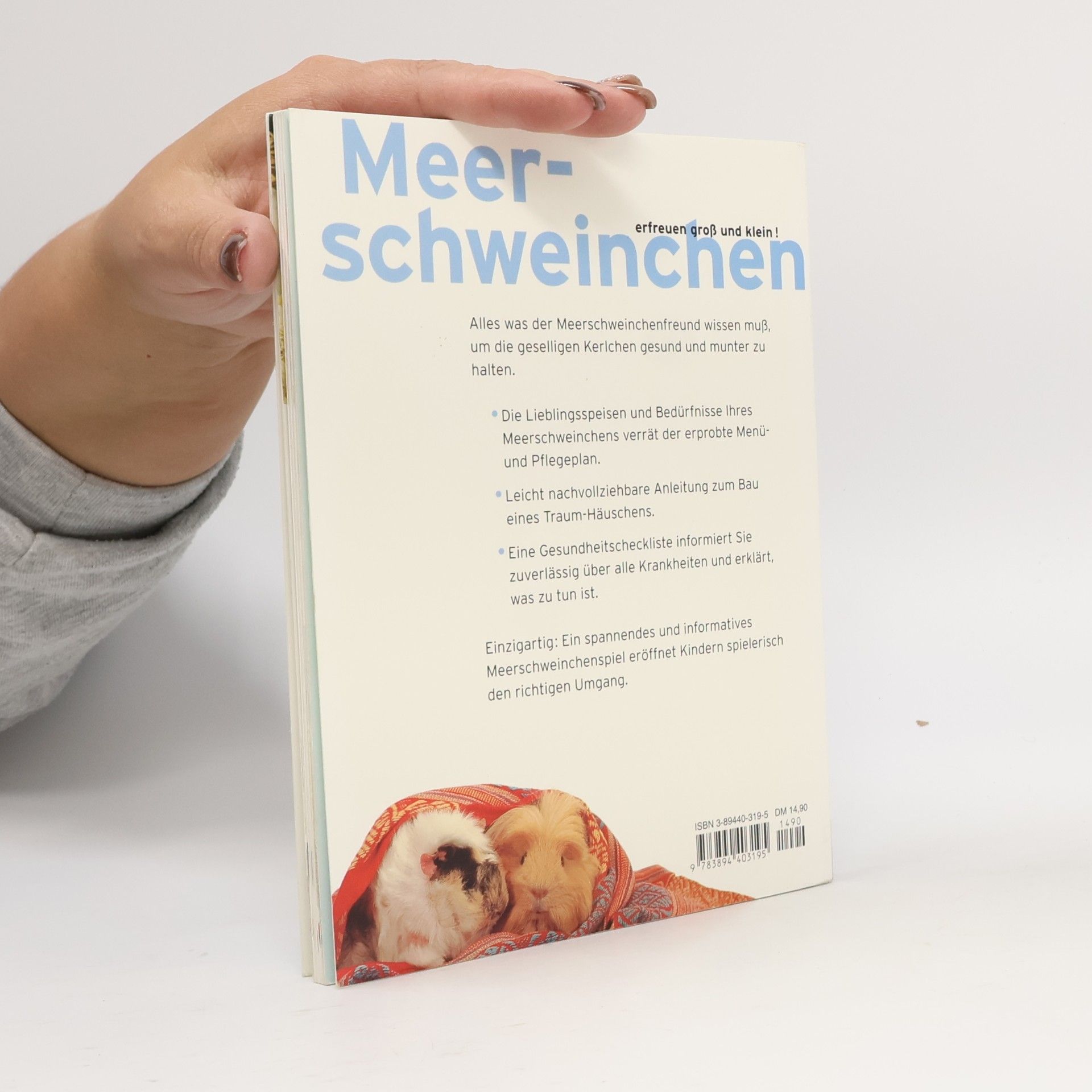 Beate Ralston Meerschweinchen