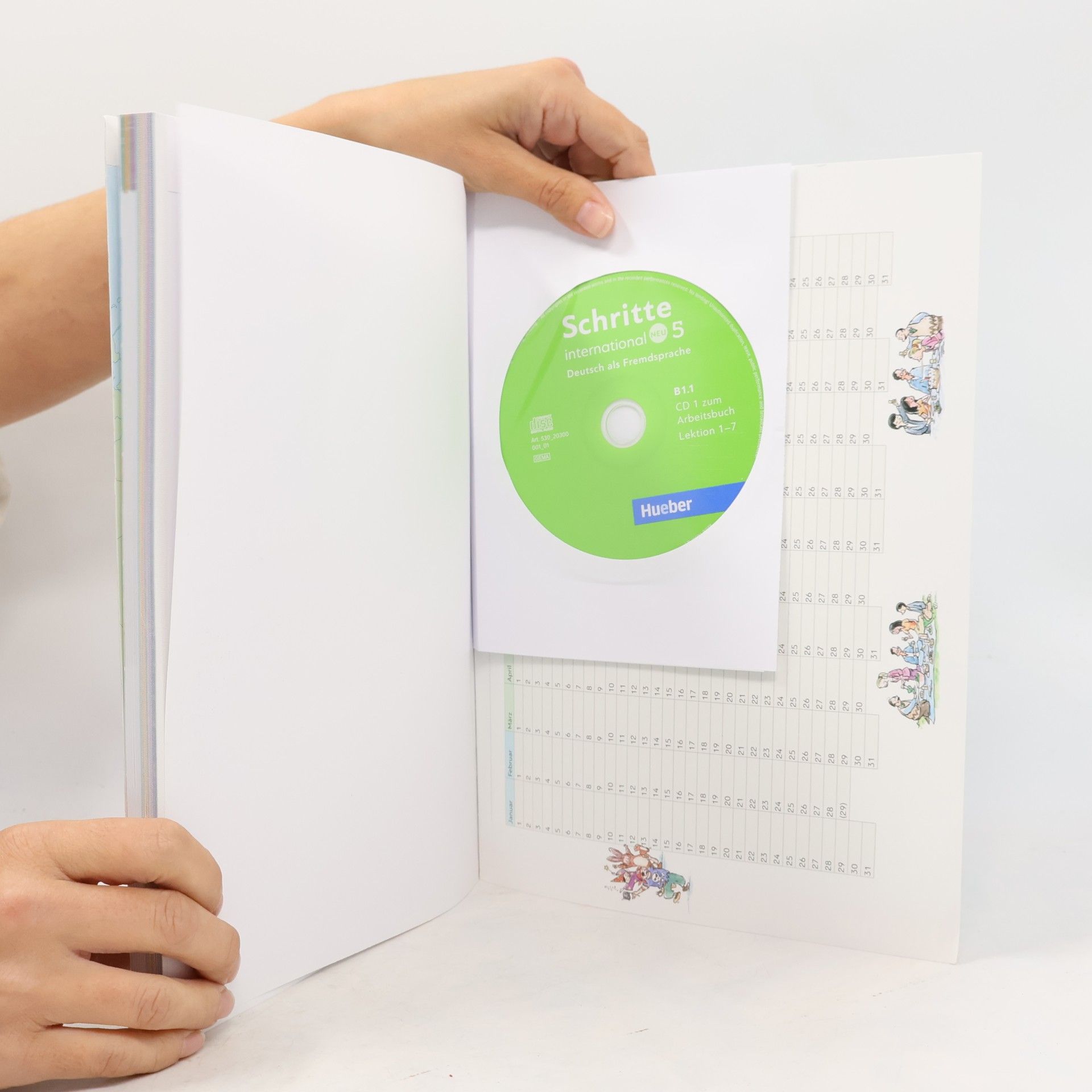 Silke Hilpert Schritte international Neu 5 : Niveau B1