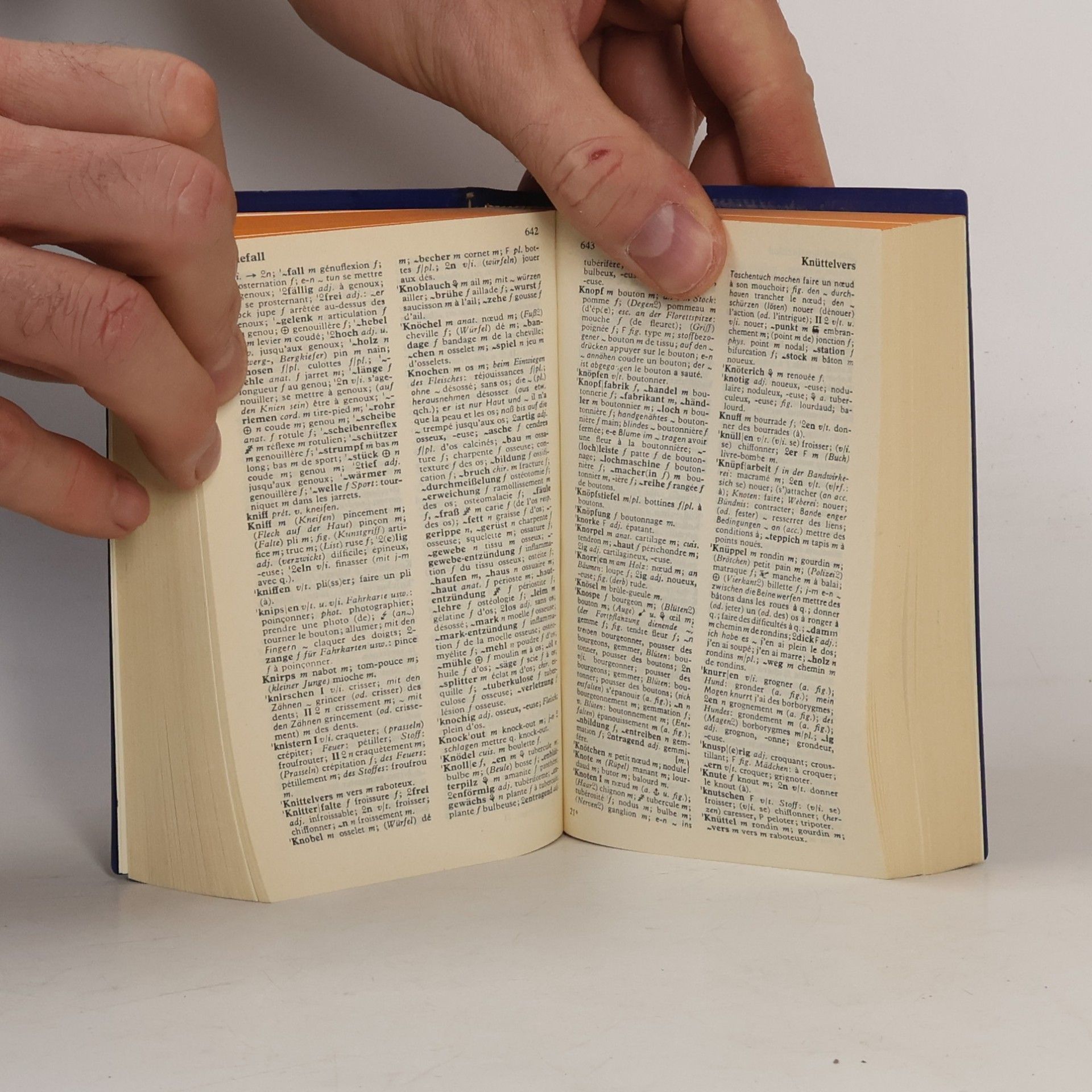 Barbara Epple Langenscheidts grosses Schulwörterbuch Deutsch-Französisch