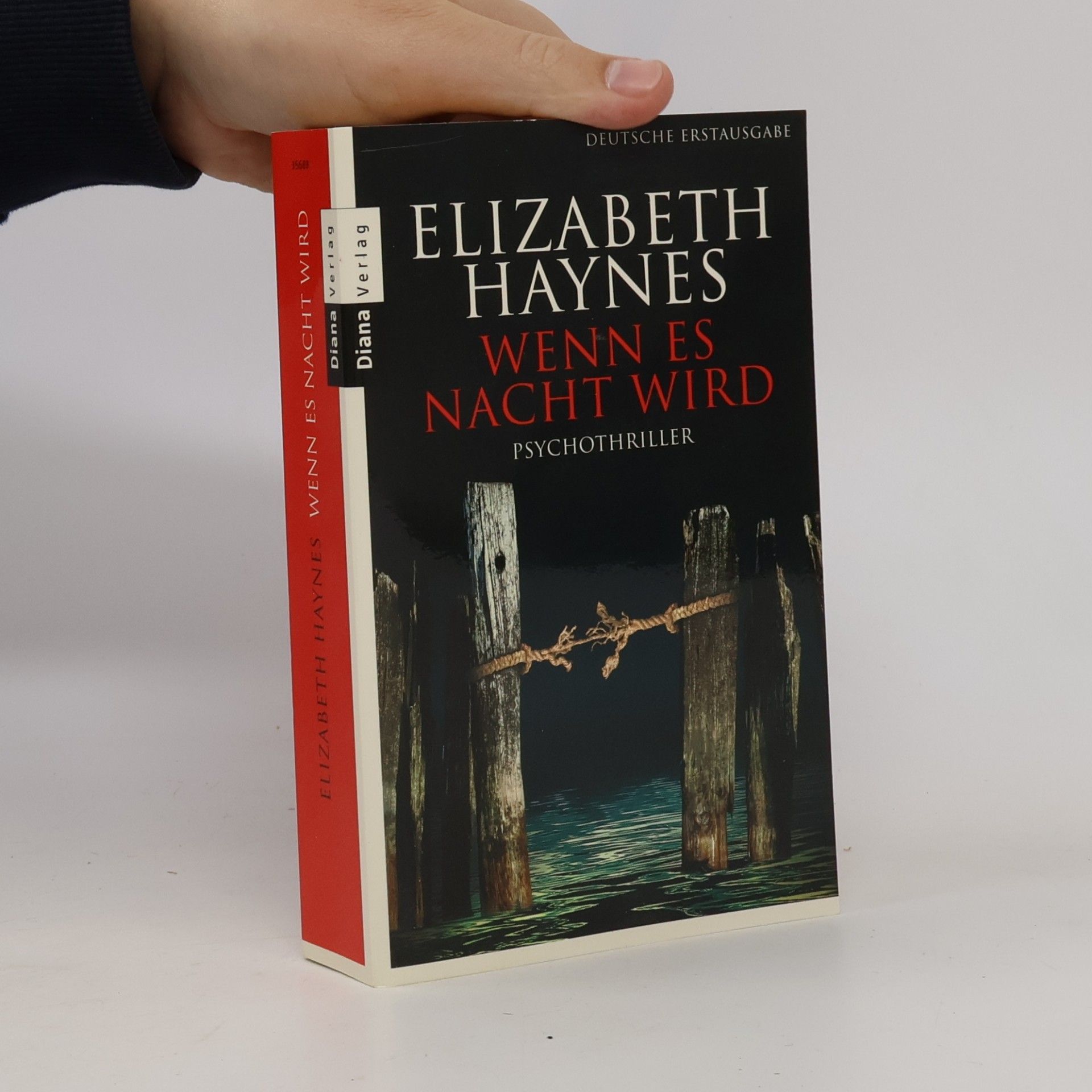 Elizabeth Haynes Wenn es Nacht wird