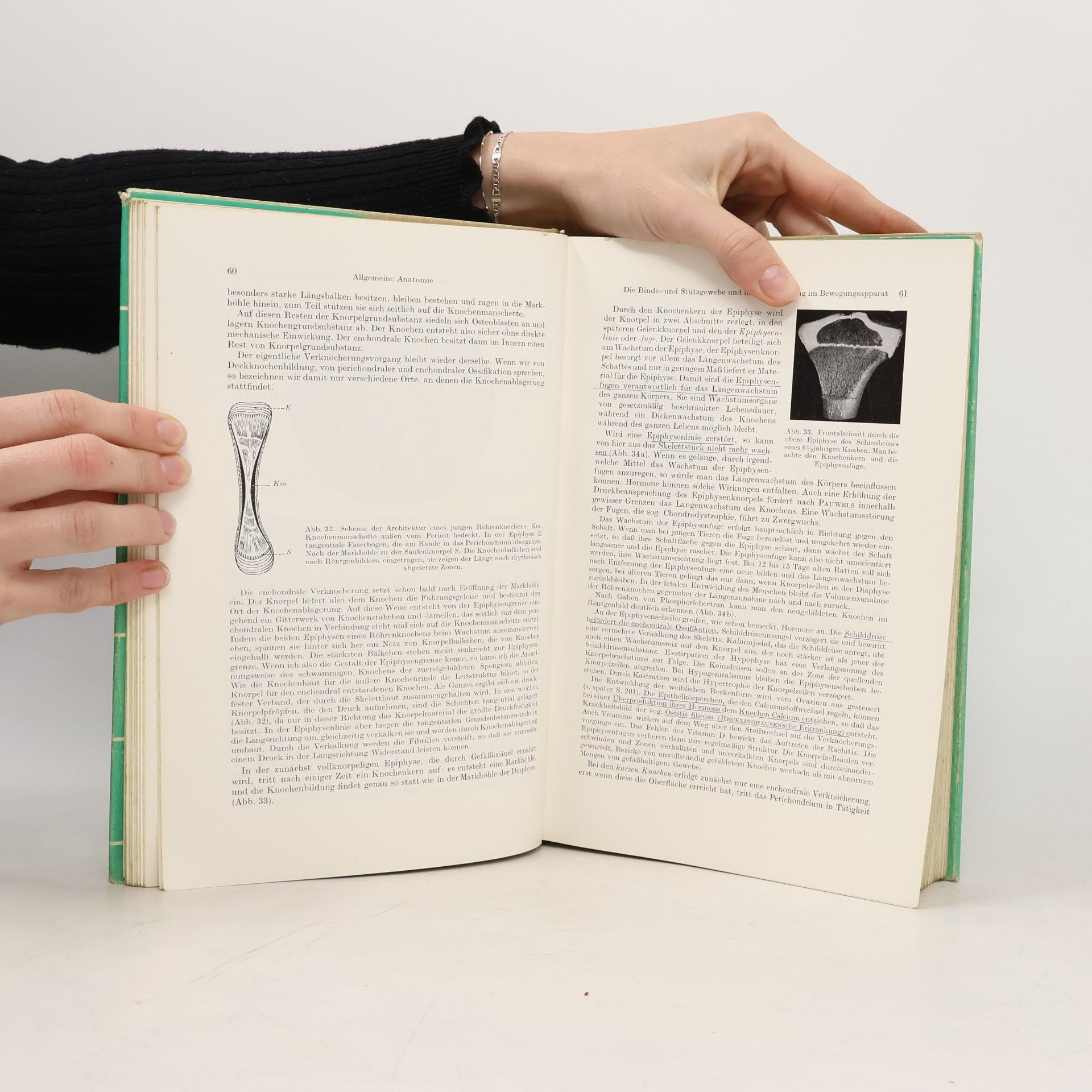 Benninghoff Lehrbuch der Anatomie des Menschen 1