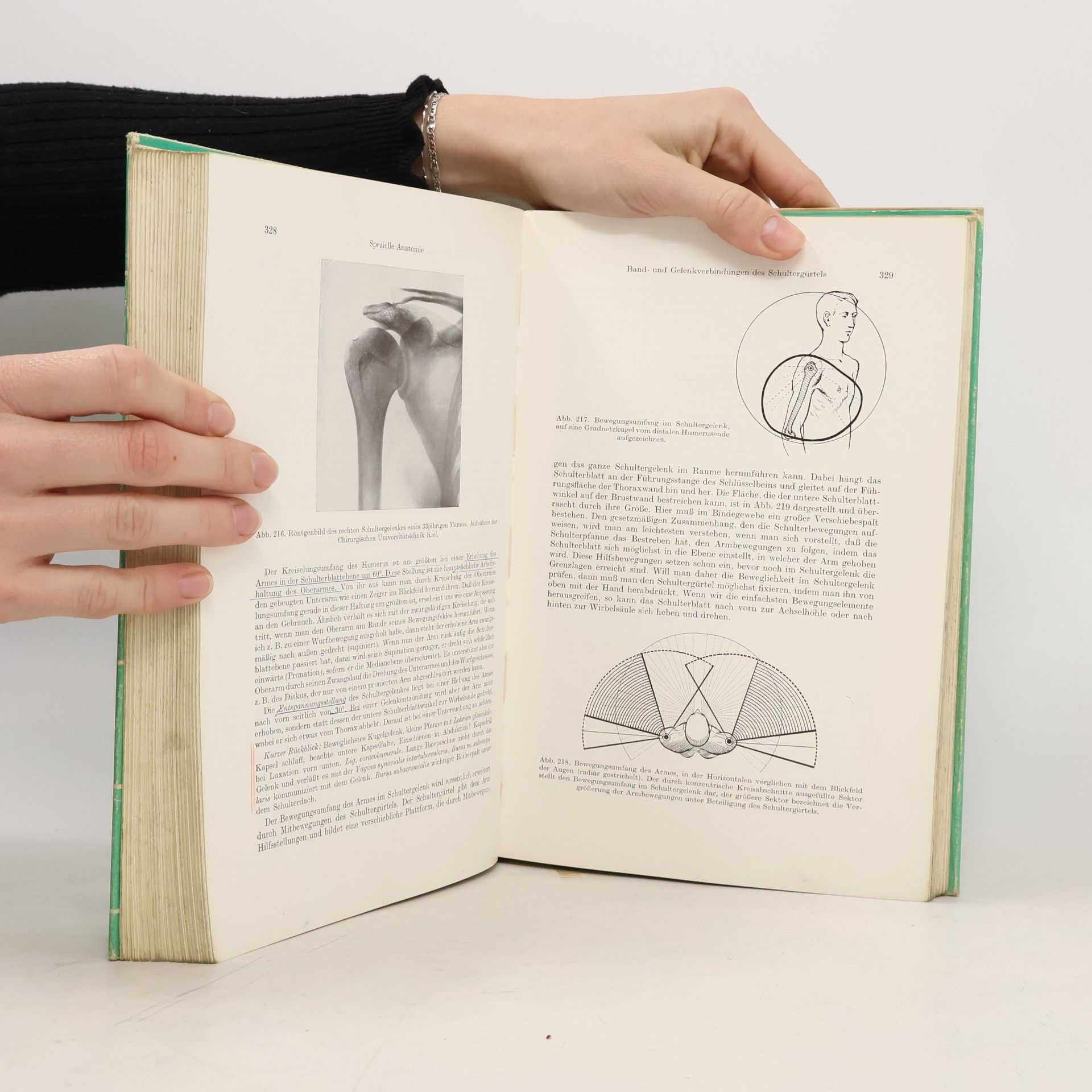 Benninghoff Lehrbuch der Anatomie des Menschen 1