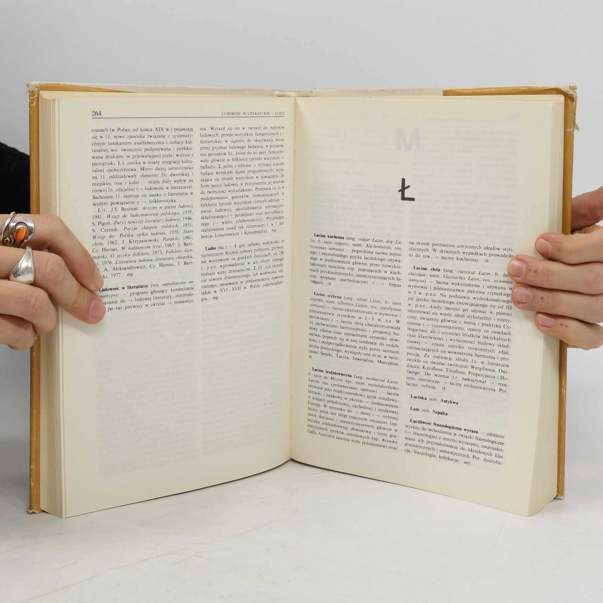 Michał Głowiński Vademecum Polonisty: Słownik terminów literackich