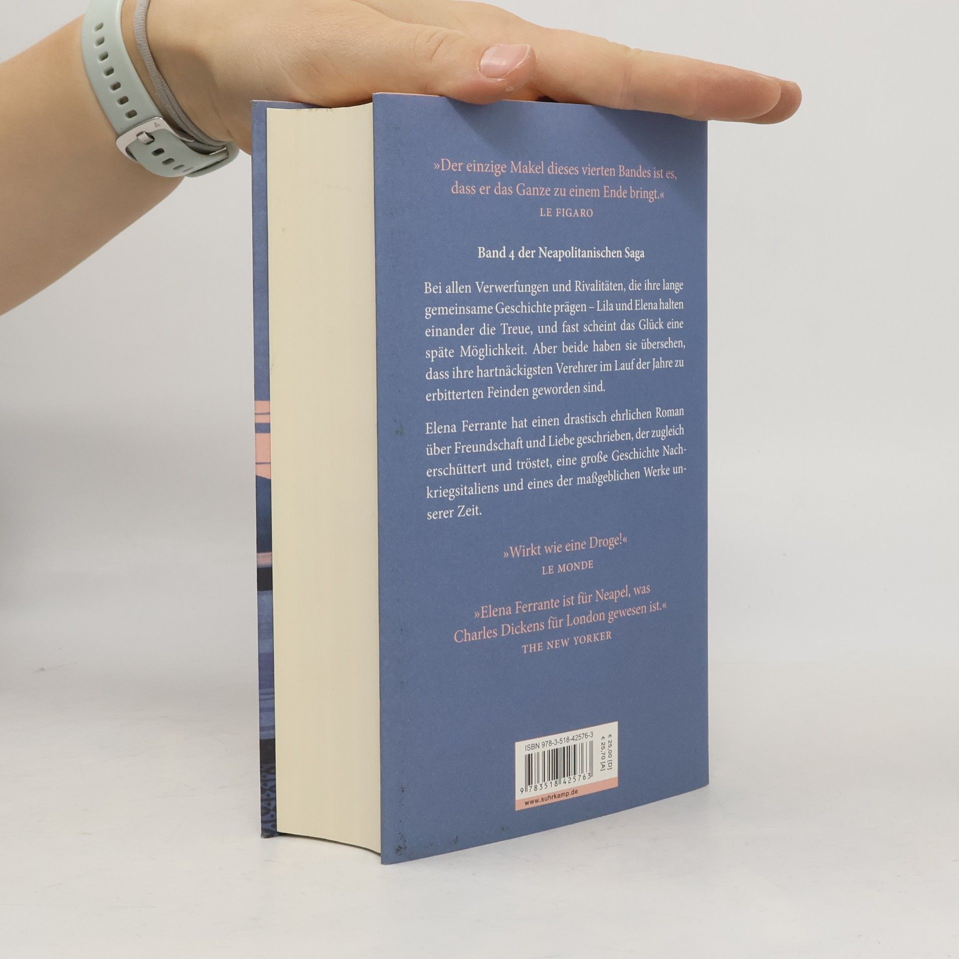 Elena Ferrante Die Geschichte Des Verlorenen Kindes