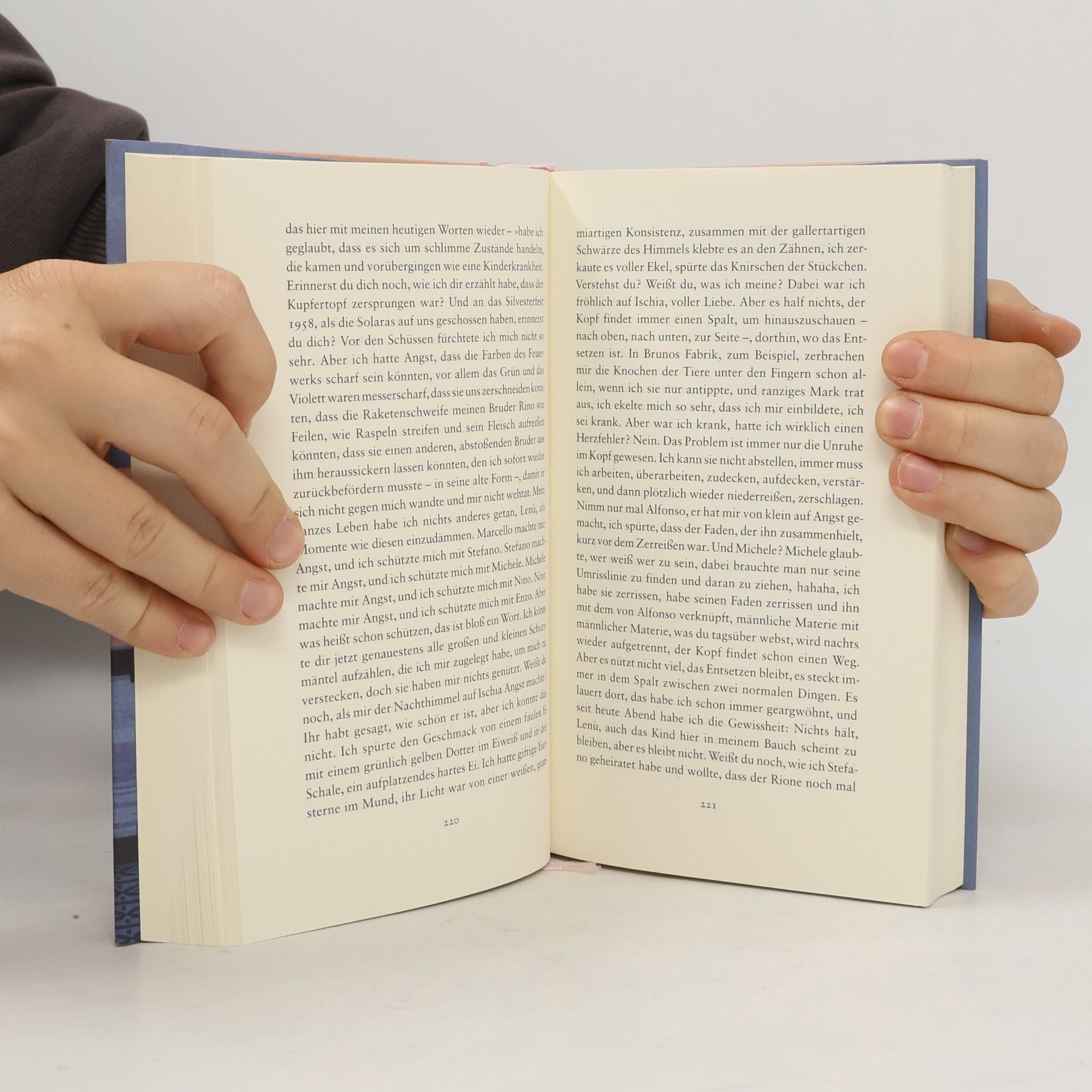 Elena Ferrante Die Geschichte Des Verlorenen Kindes