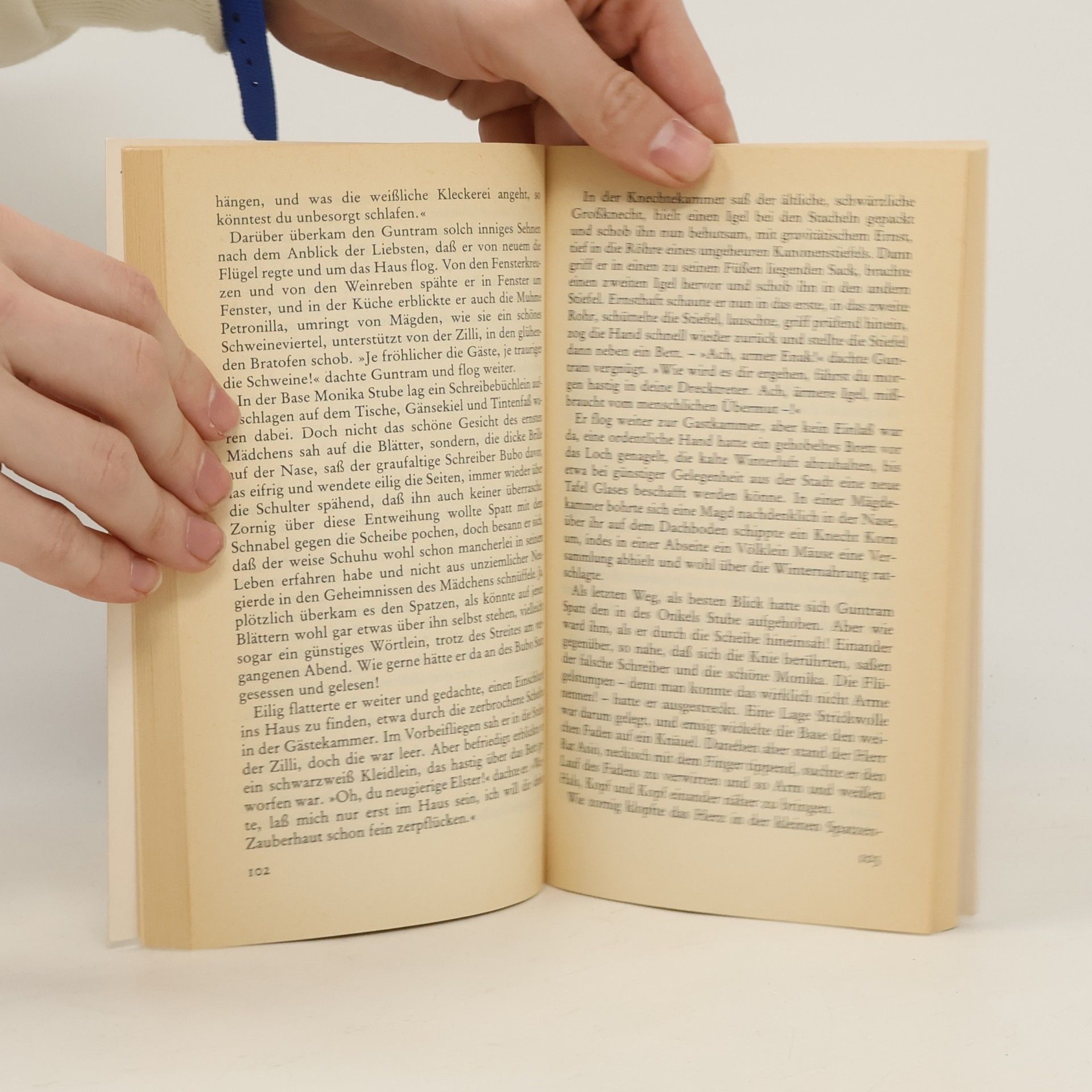 Hans Fallada Märchen vom Stadtschreiber, der aufs Land flog