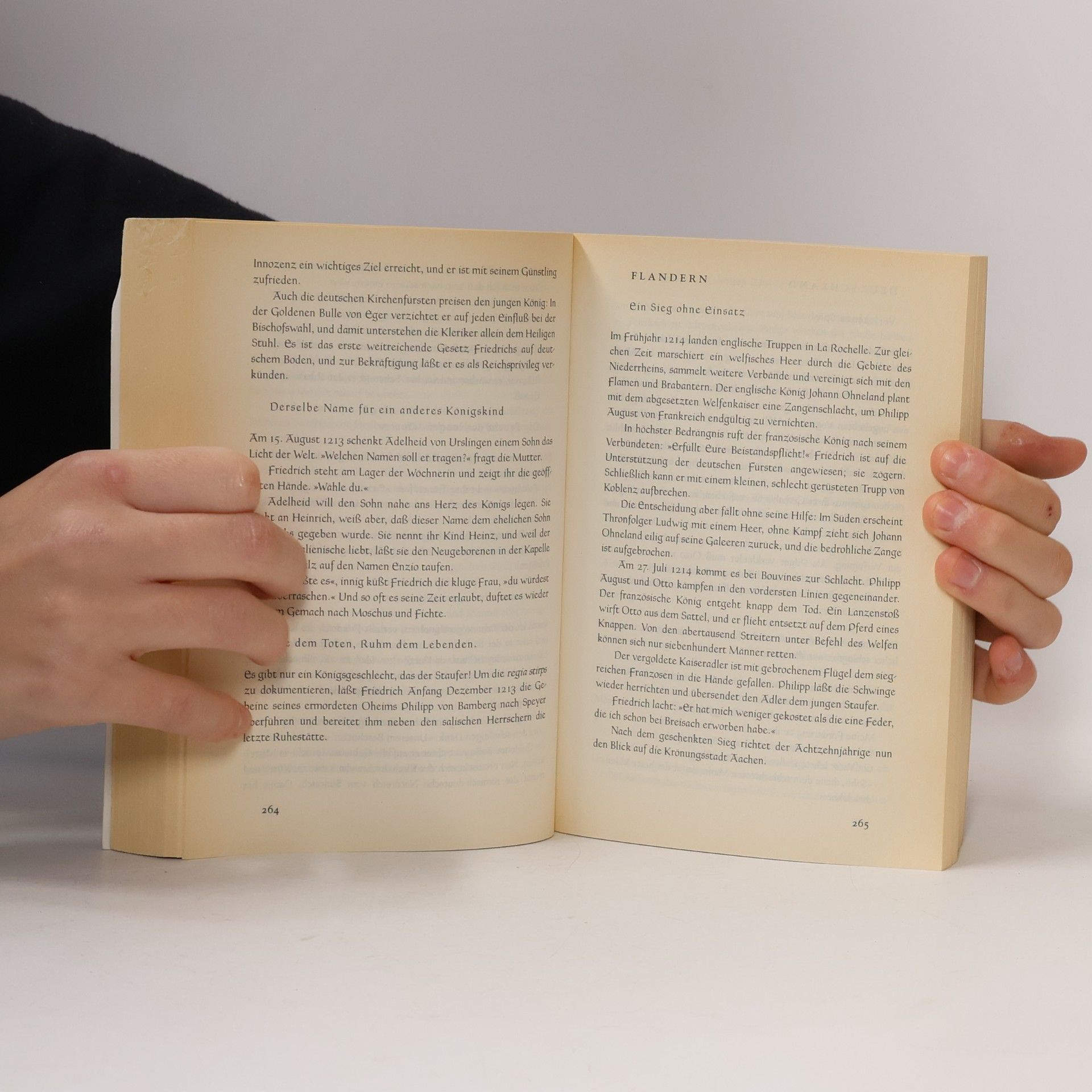 Tilman Röhrig Wie ein Lamm unter Löwen