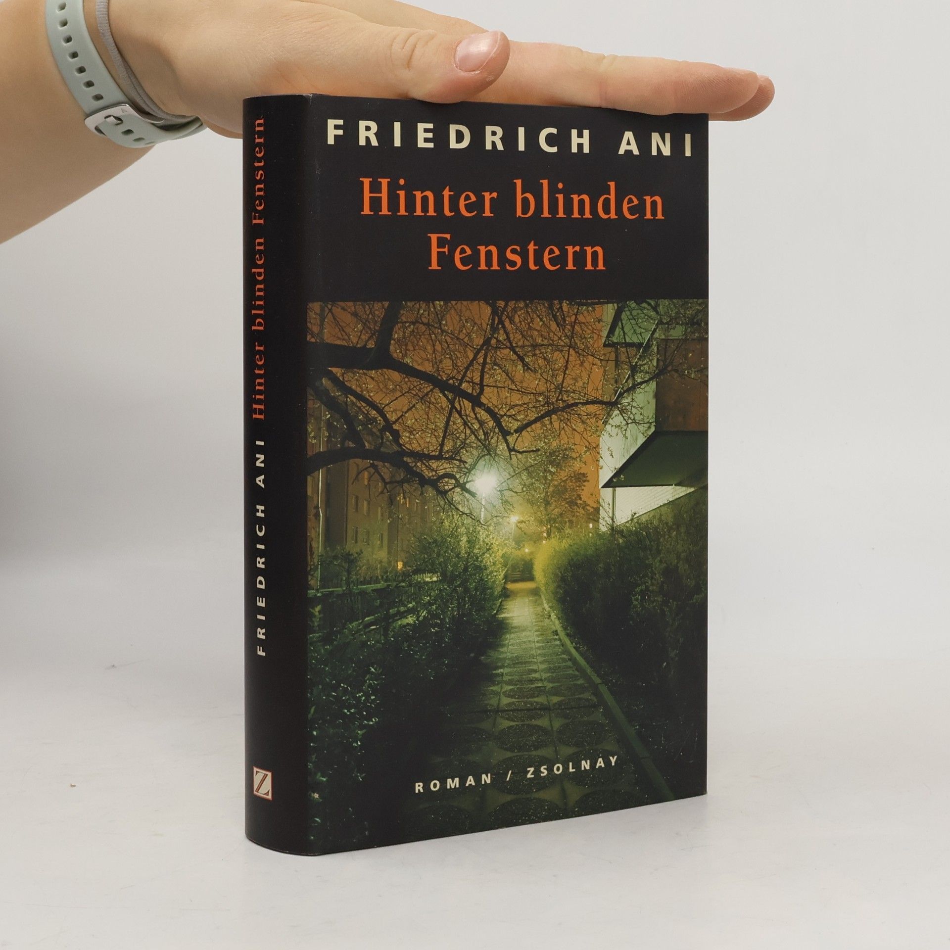 Hinter blinden Fenstern