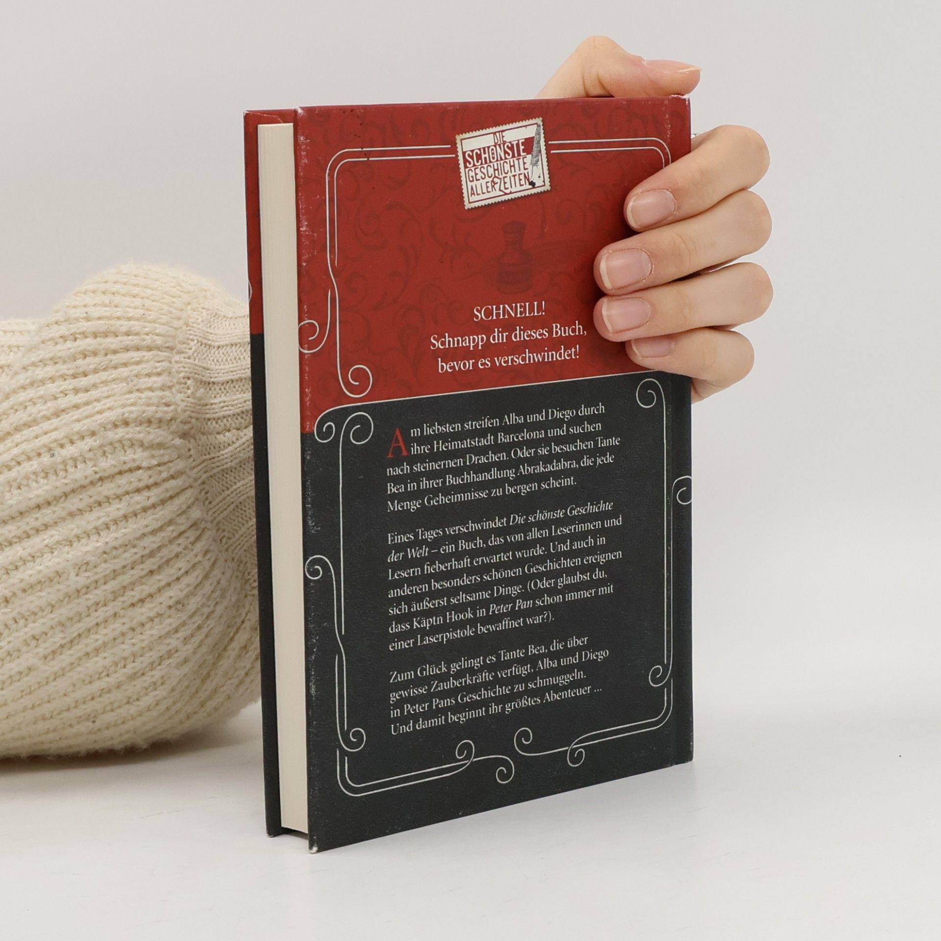 Edward Berry Das verschwundene Buch