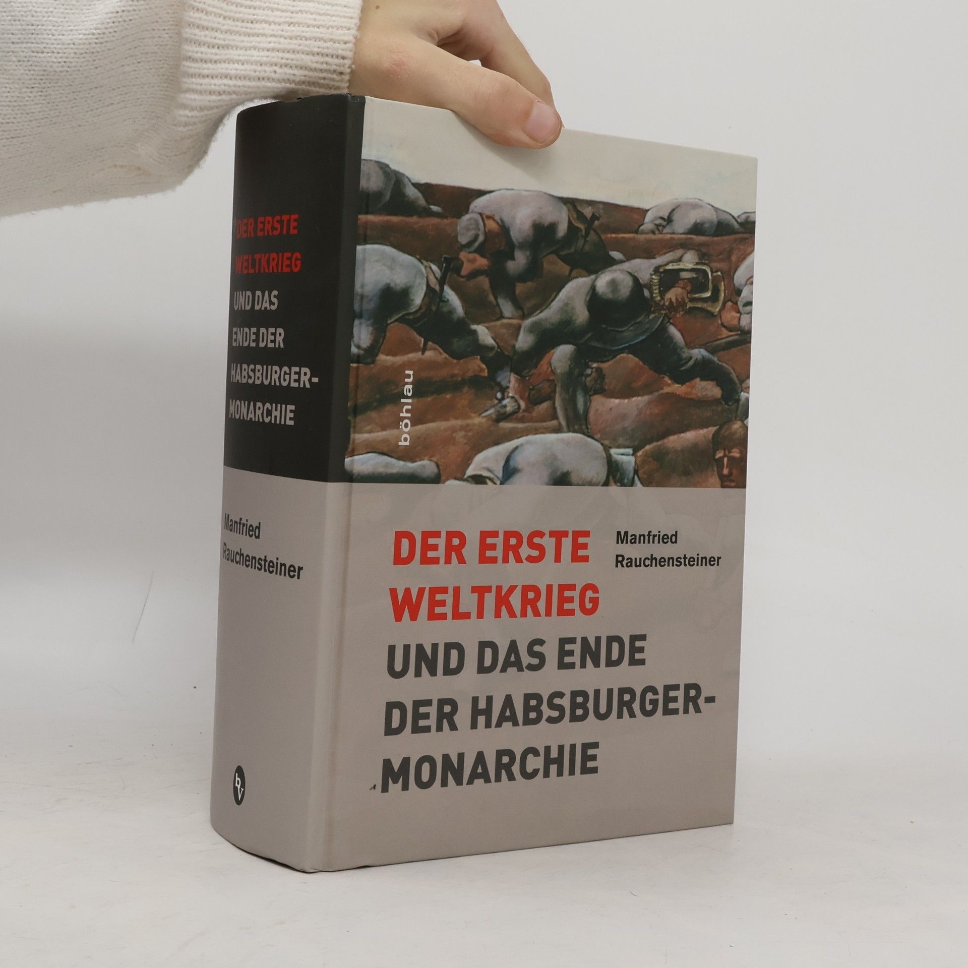 Der Erste Weltkrieg und das Ende der Habsburgermonarchie 1914 - 1918