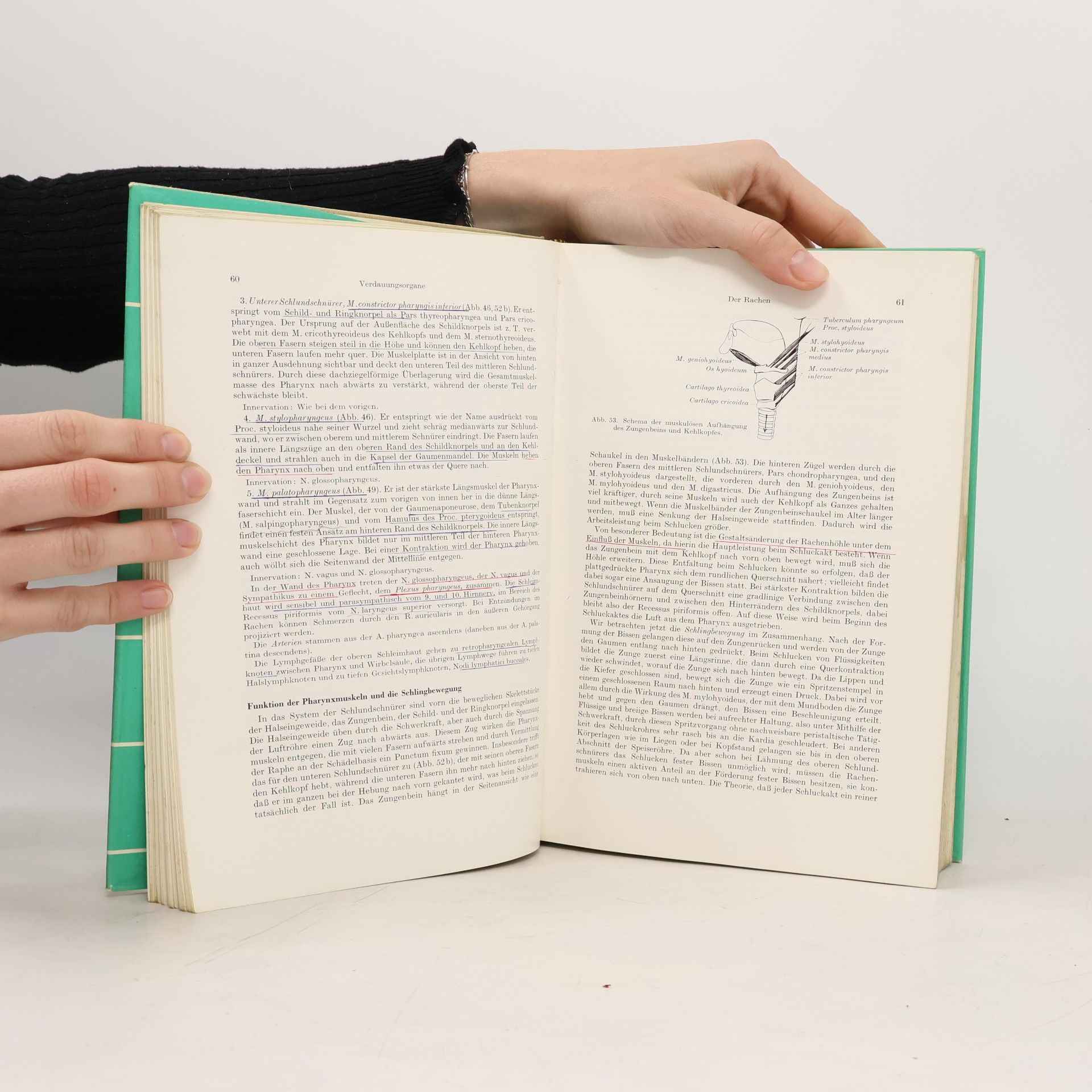Benninghoff-Goerttler Lehrbuch der Anatomie des Menschen