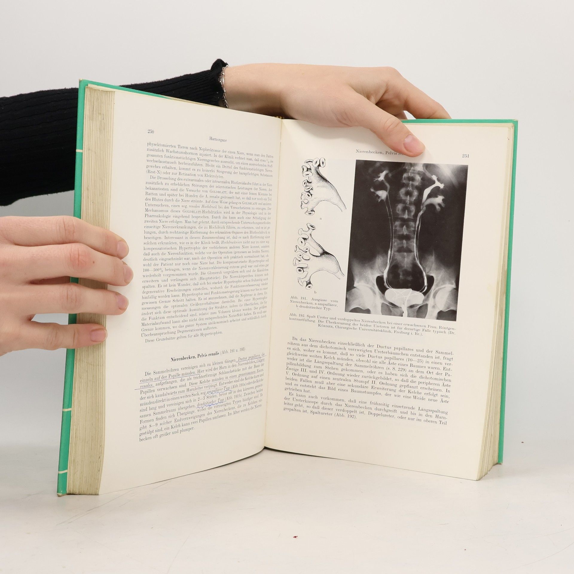 Benninghoff-Goerttler Lehrbuch der Anatomie des Menschen