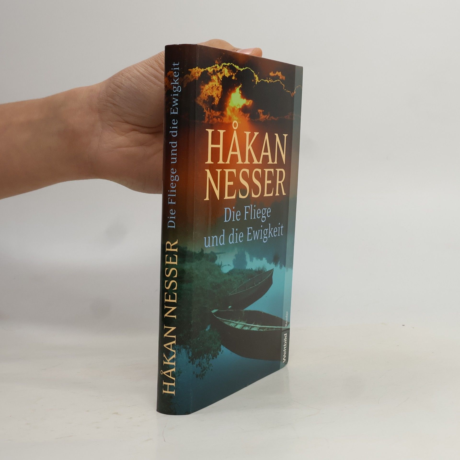Håkan Nesser Die Fliege und die Ewigkeit