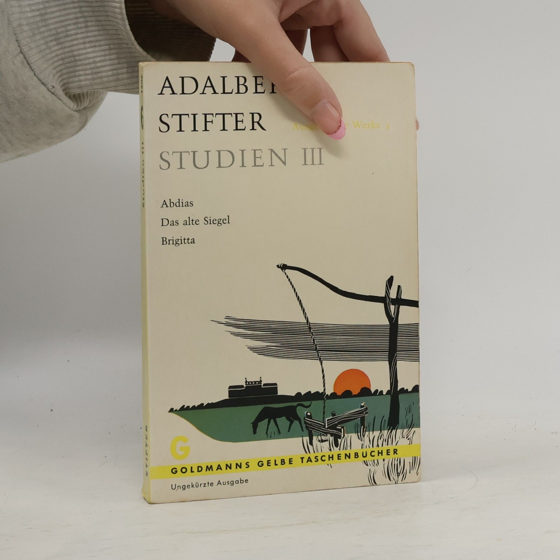 Adalbert Stifter Studien III