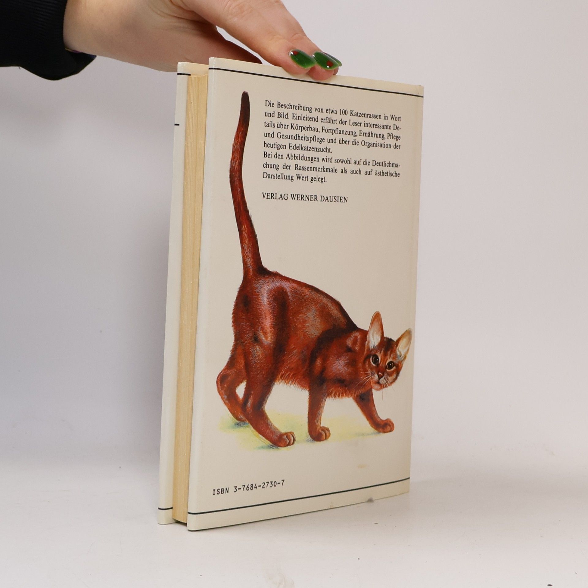 Albert Pintera Katzen