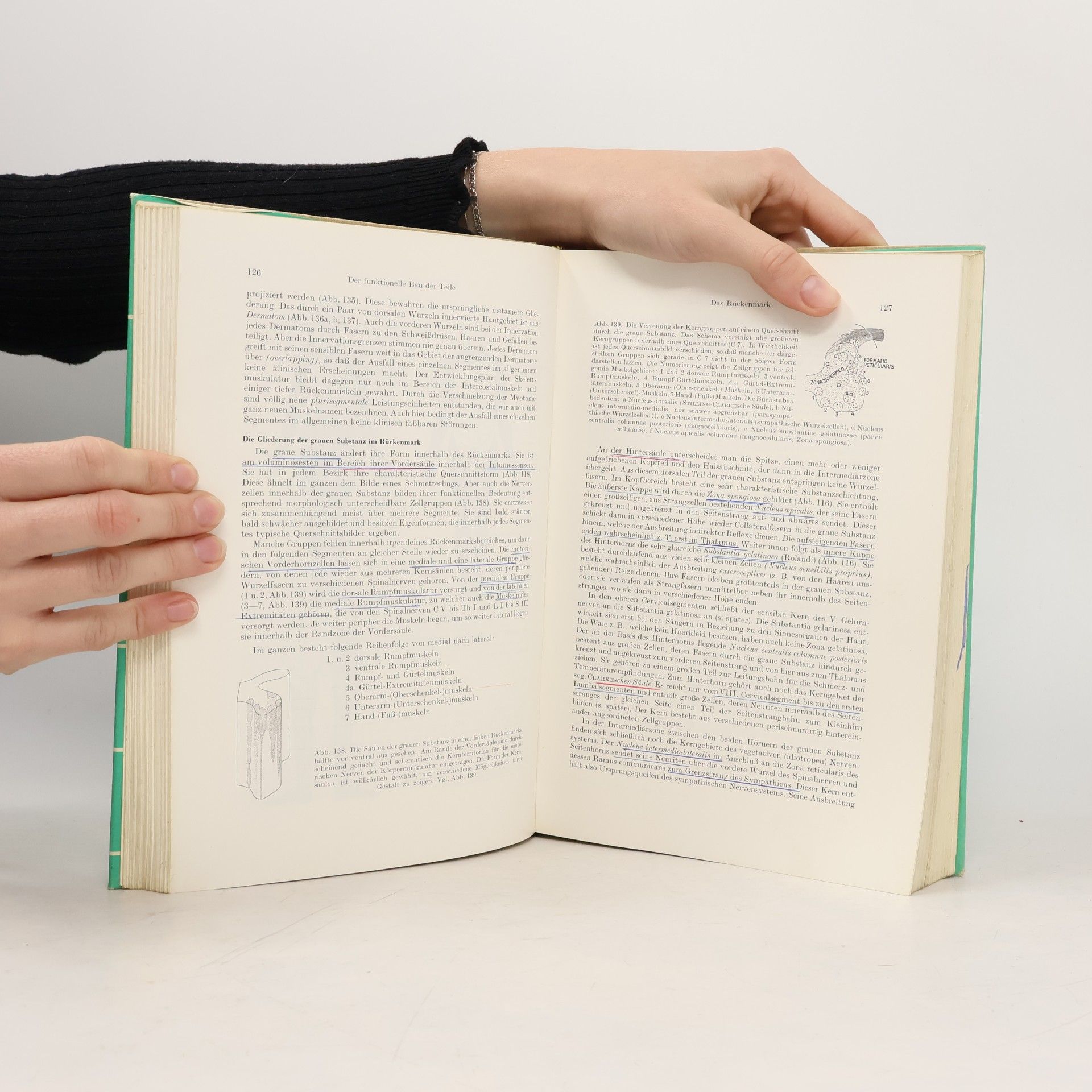 Alfred Benninghoff Lehrbuch der Anatomie des Menschen