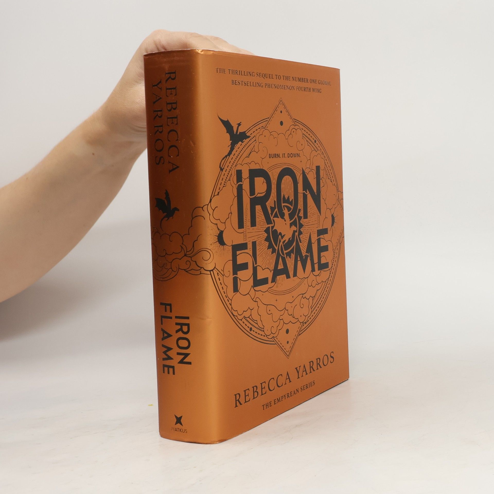 Iron Flame