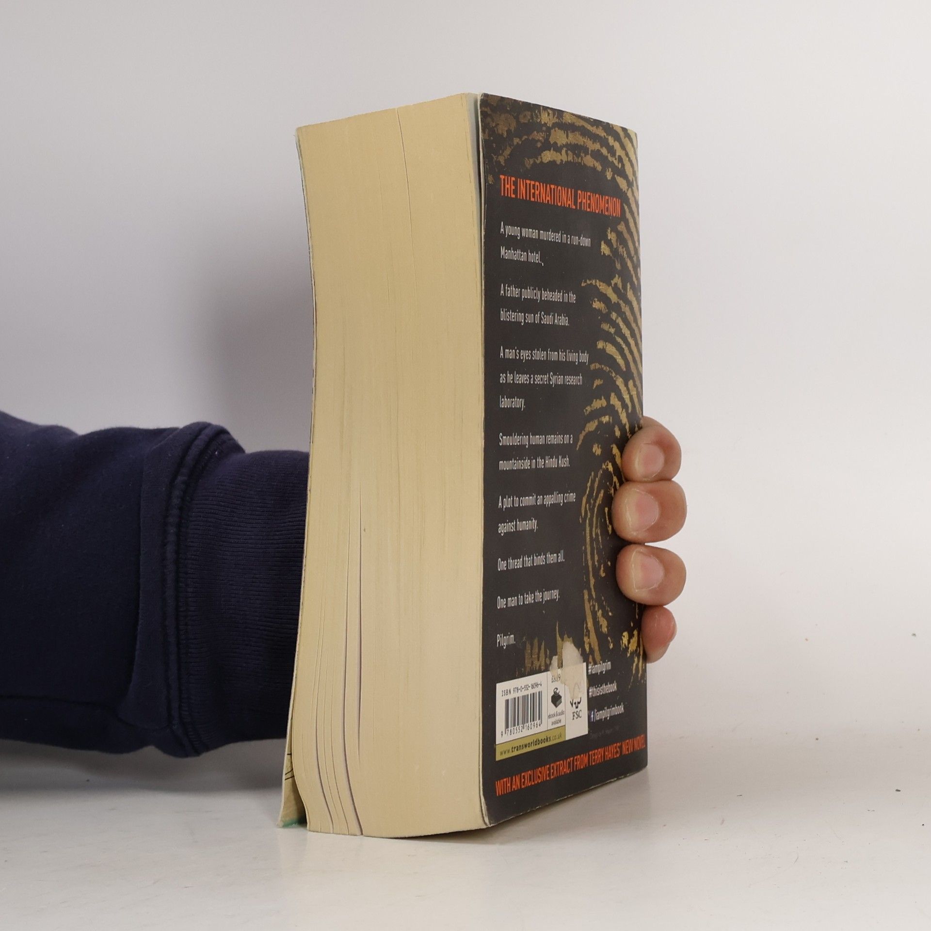 Terry Hayes I am pilgrim