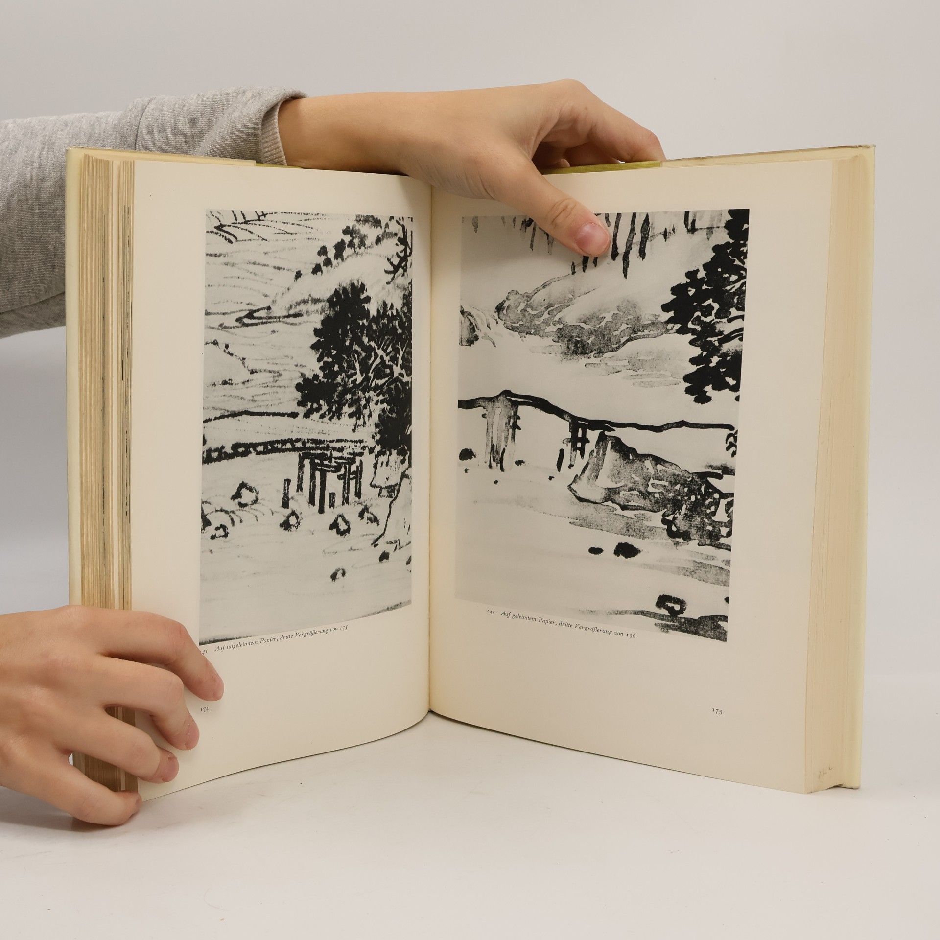 Fritz van Briessen Chinesische Maltechnik
