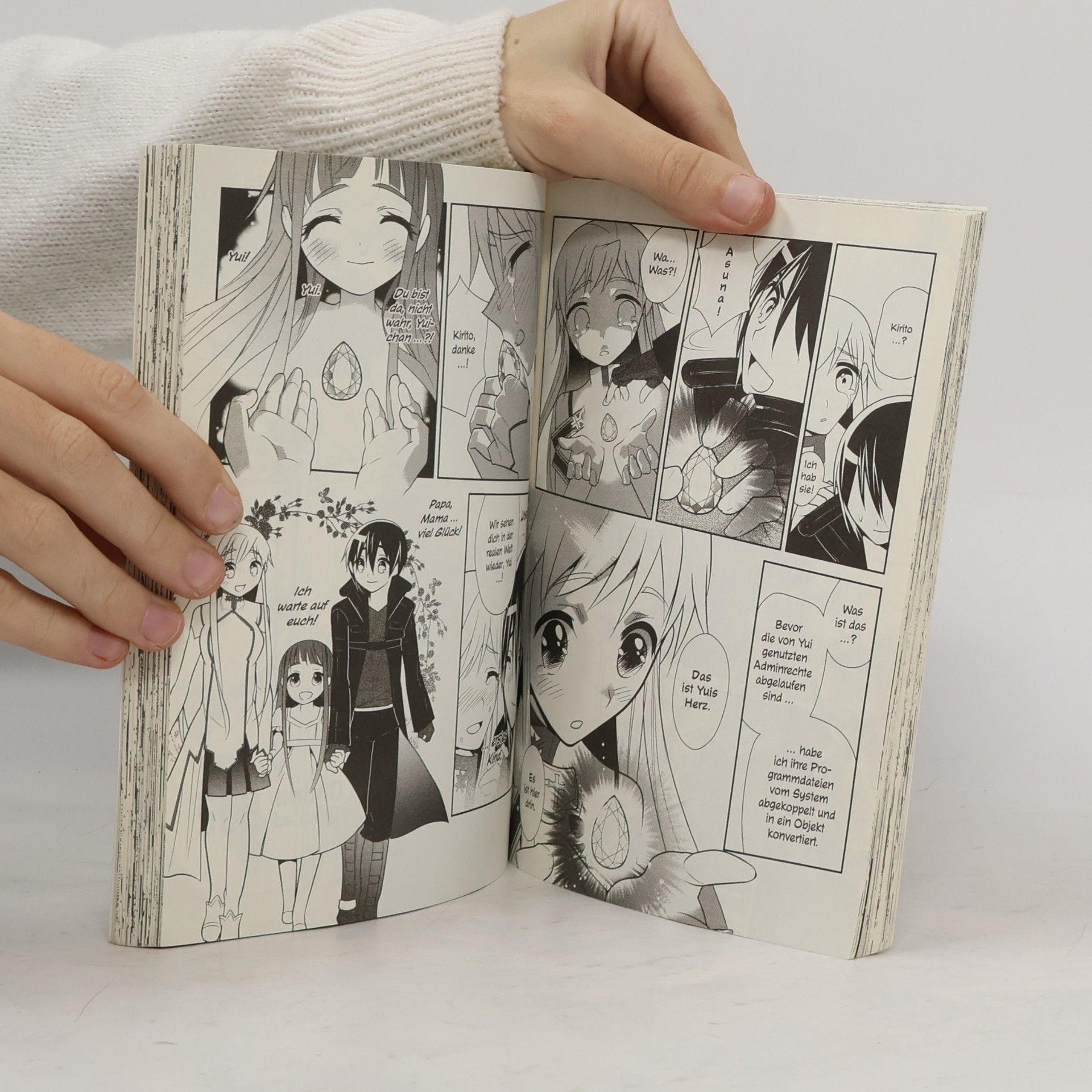 Reki Kawahara Sword Art Online 2. Aincrad