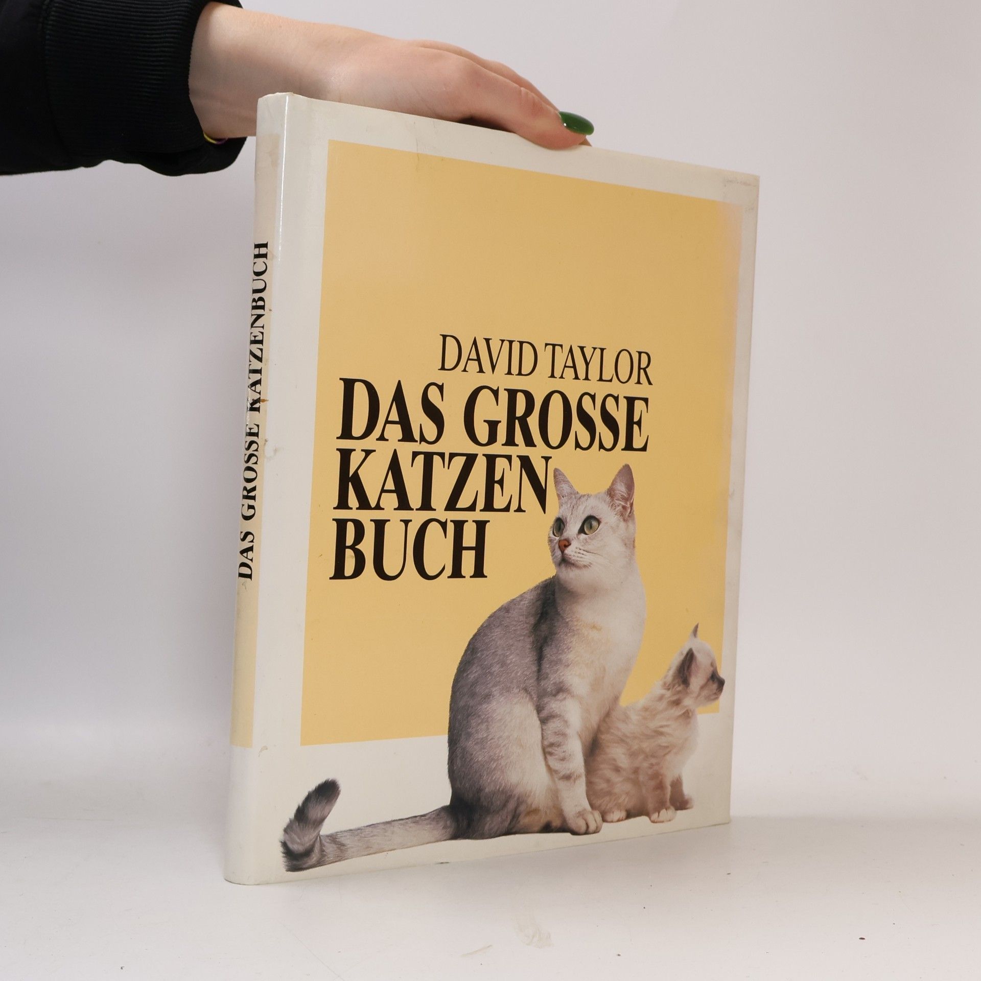 Das Grosse Katzenbuch