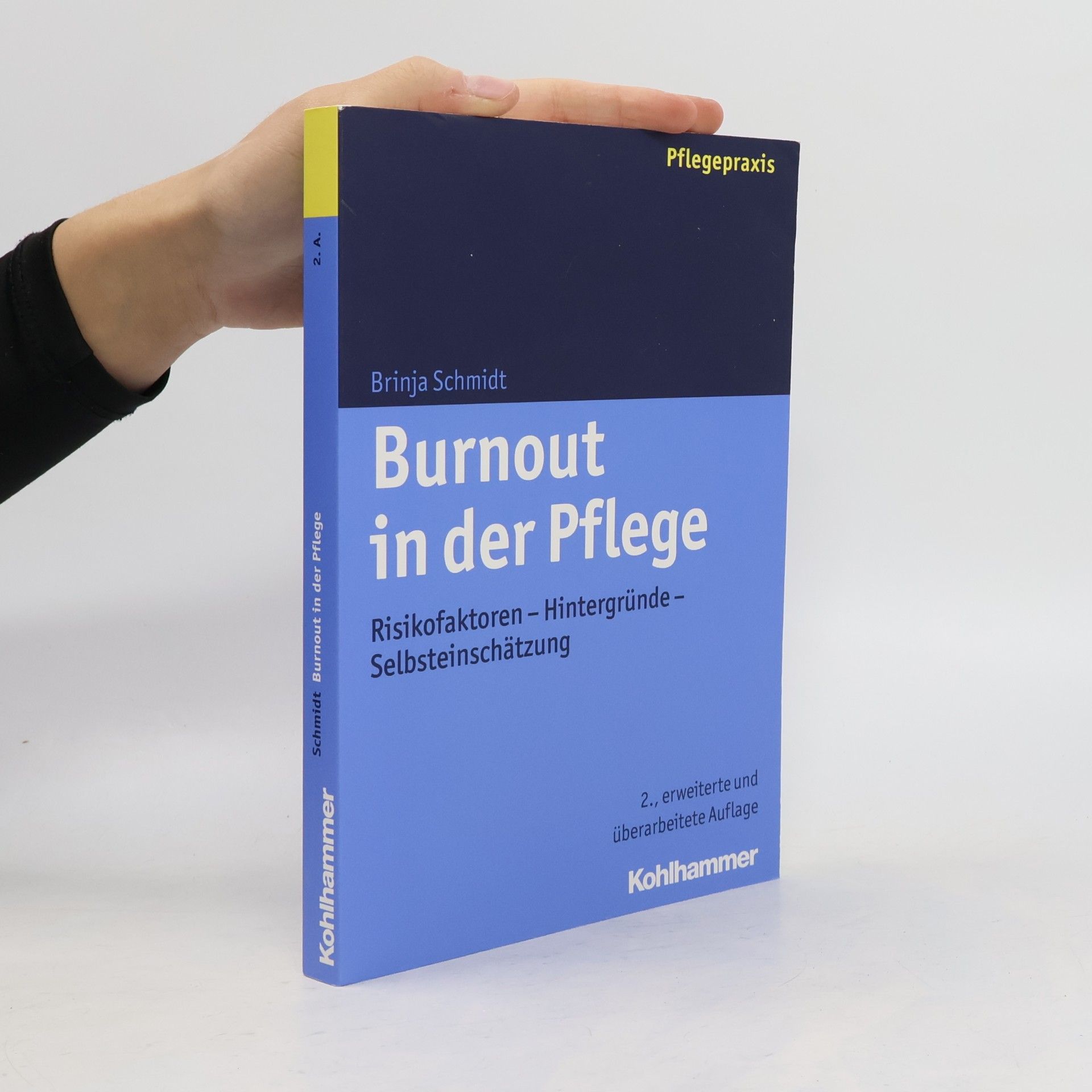 Brinja Schmidt Burnout in der Pflege
