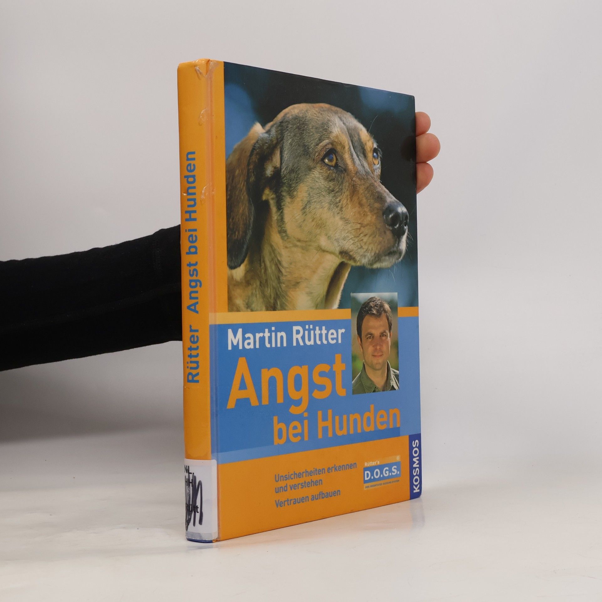 Angst bei Hunden