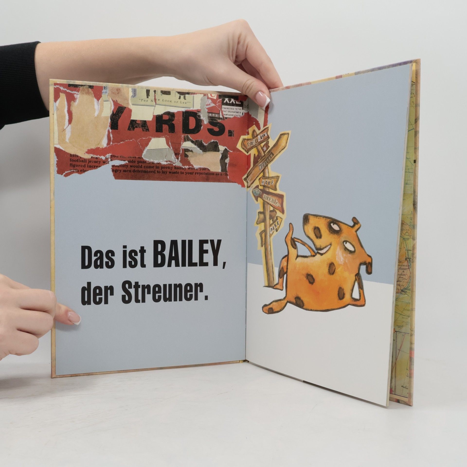 Chiara Carrer Bailey, der Streuner