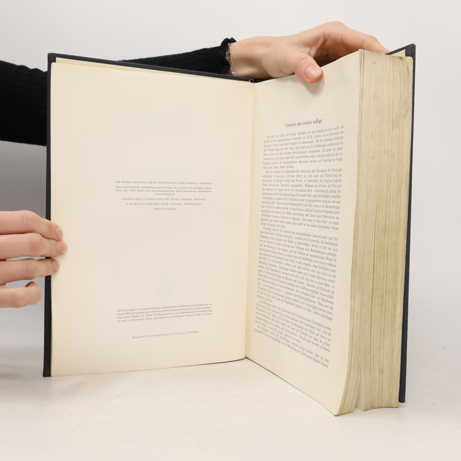 Anton Hafferl Lehrbuch der topographischen Anatomie