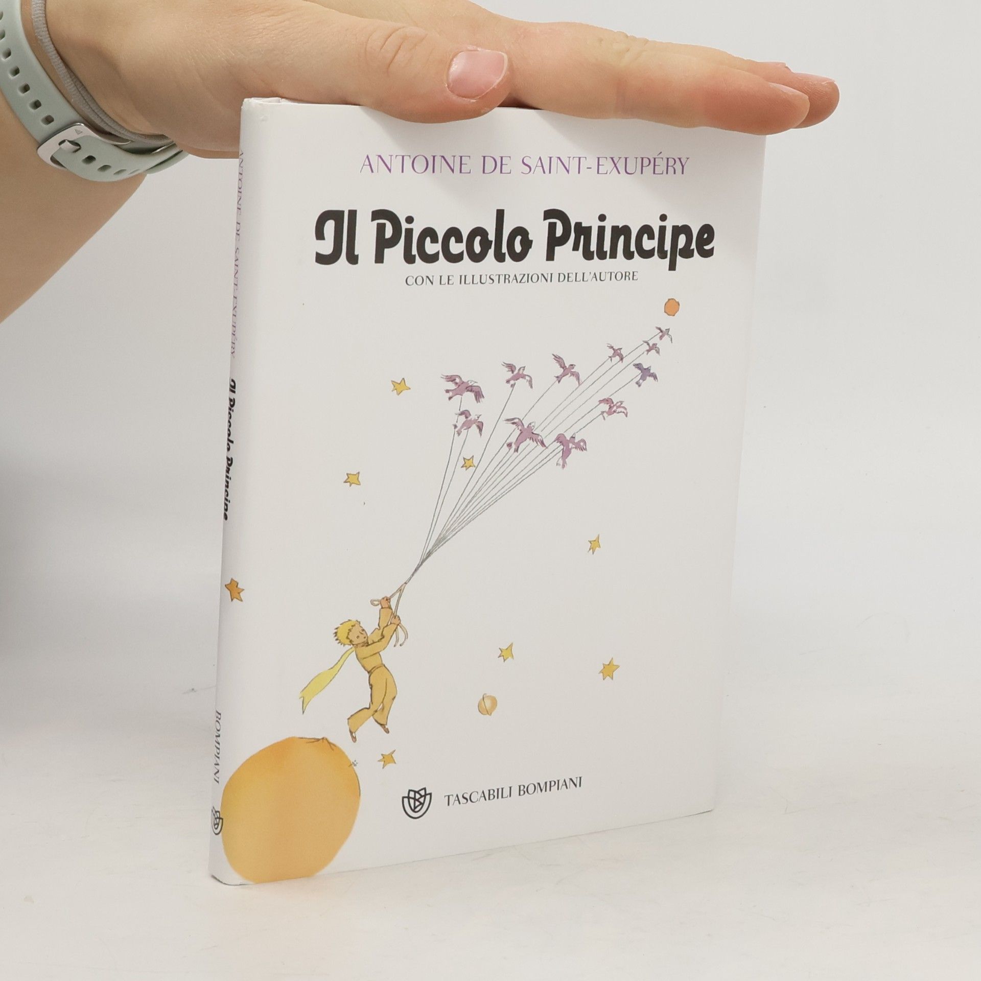 Il Piccolo Principe