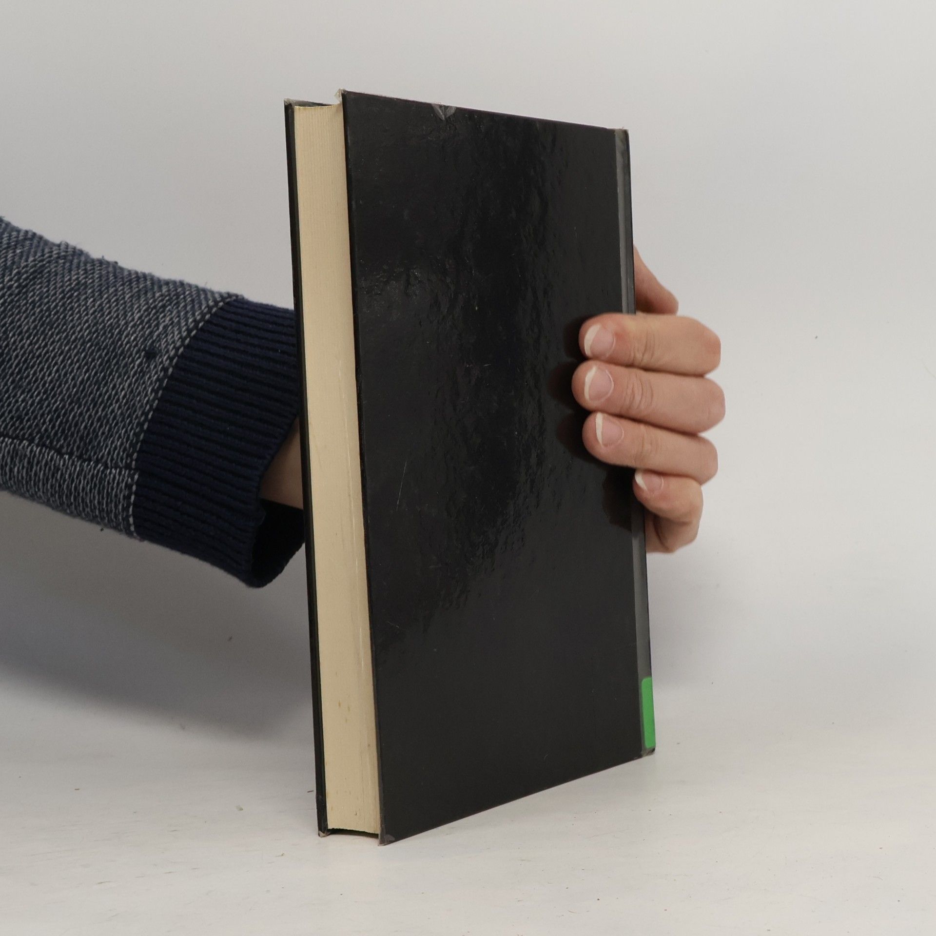 Dietmar Bräunig Schriften zur öffentlichen Verwaltung und öffentlichen Wirtschaft - 147: Pretiale Steuerung von Kommunalverwaltungen. Neues Management für Städte
