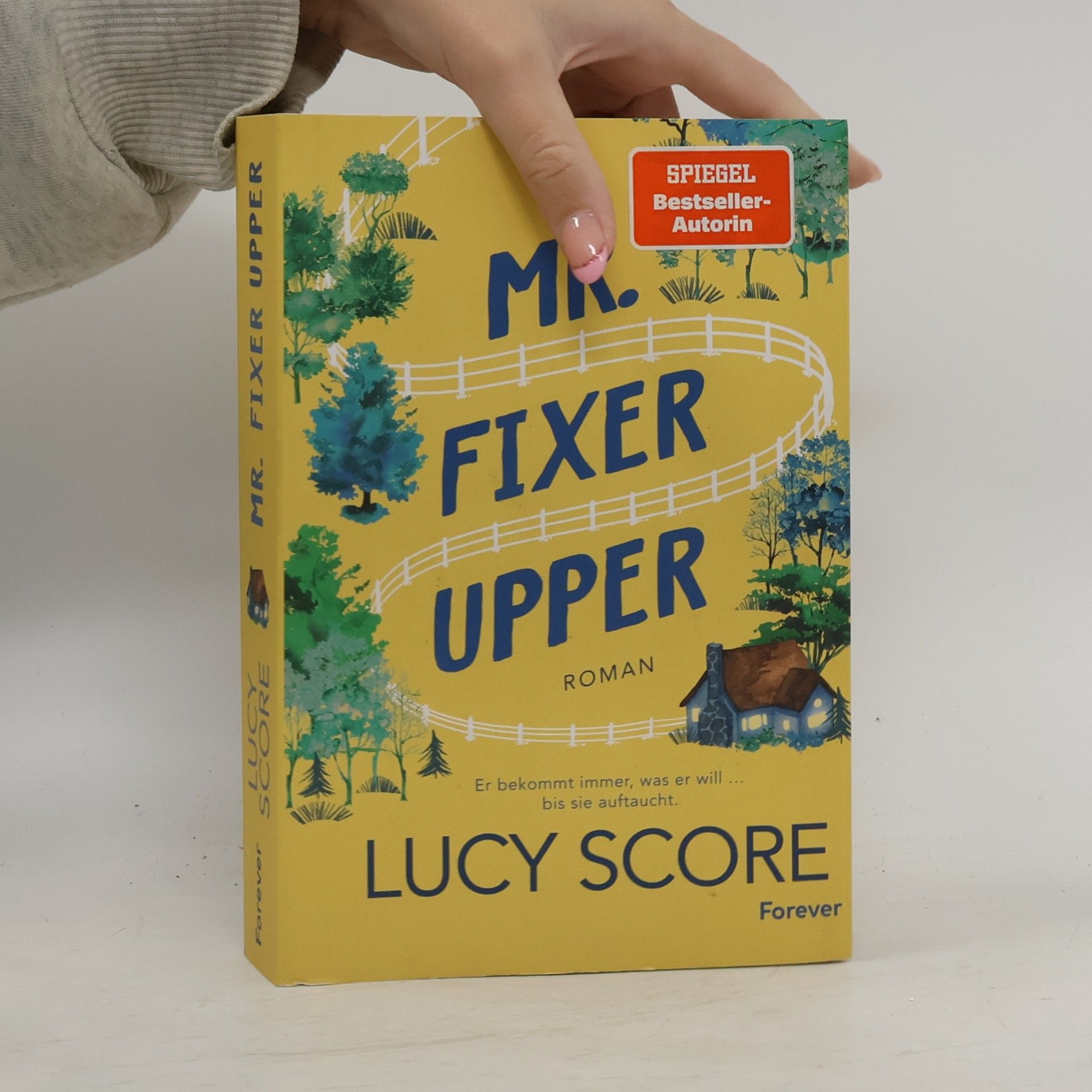 Mr. Fixer Upper