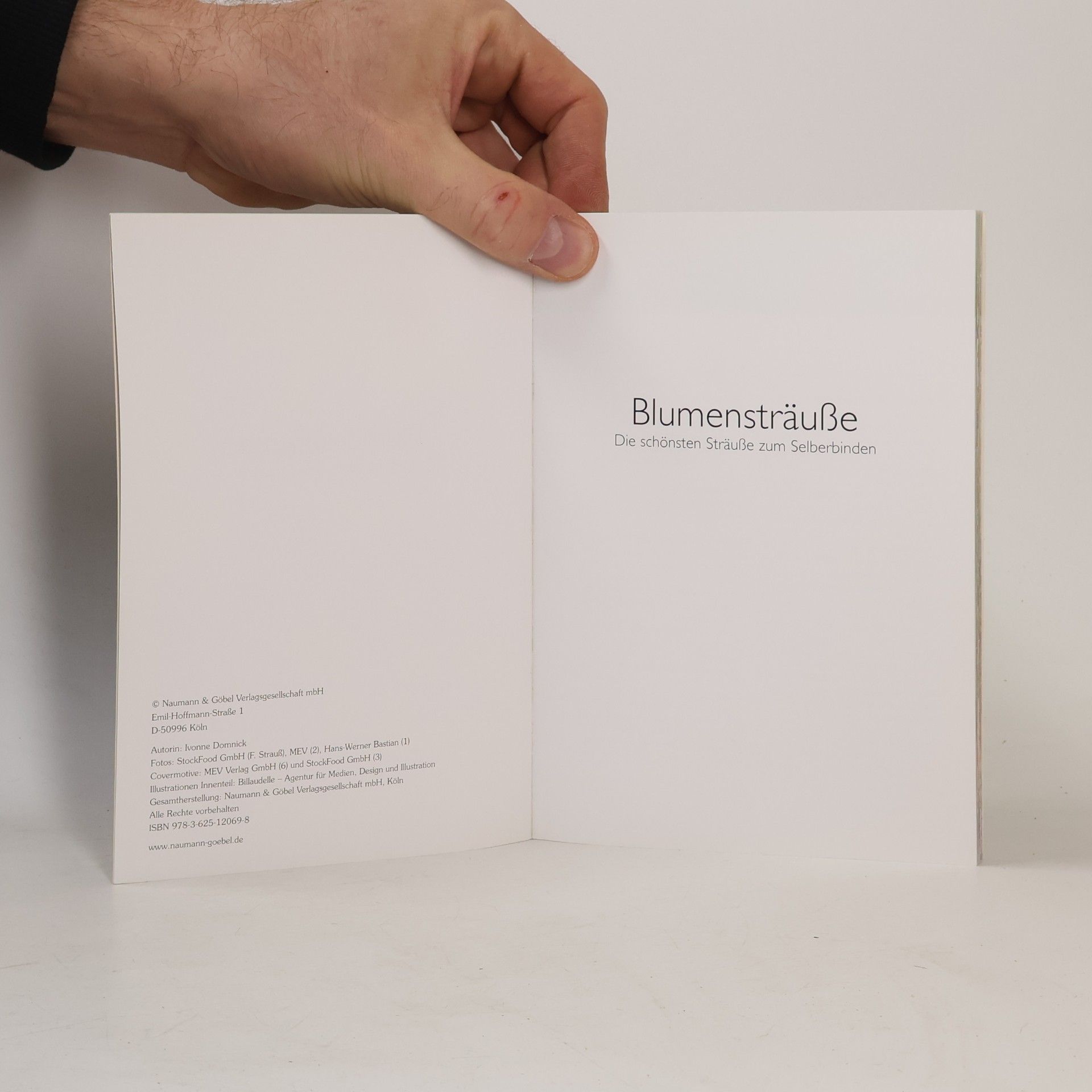 Ivonne Domnick Blumensträuße. Die schönsten Sträuße zum Selberbinden