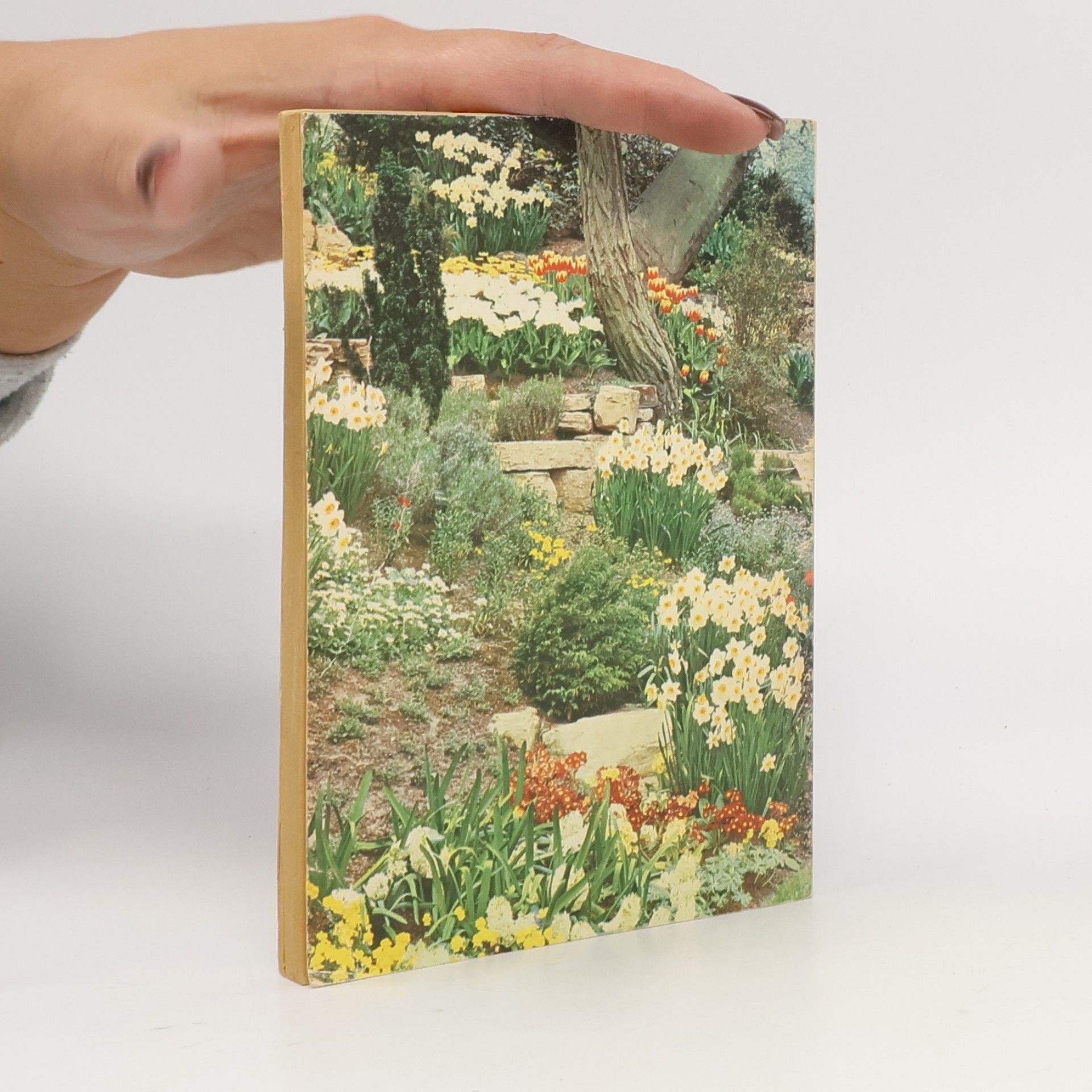 Jan Elffers Zimmer und Garten