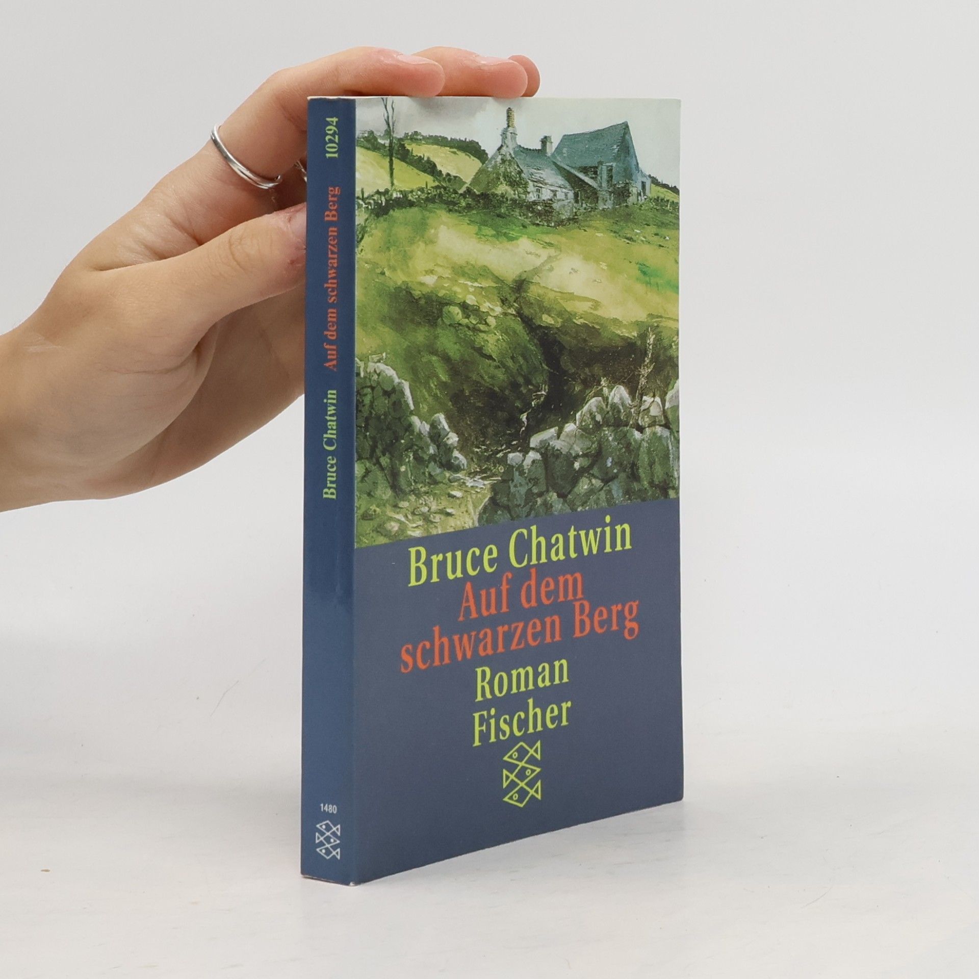 Bruce Chatwin Auf dem schwarzen Berg