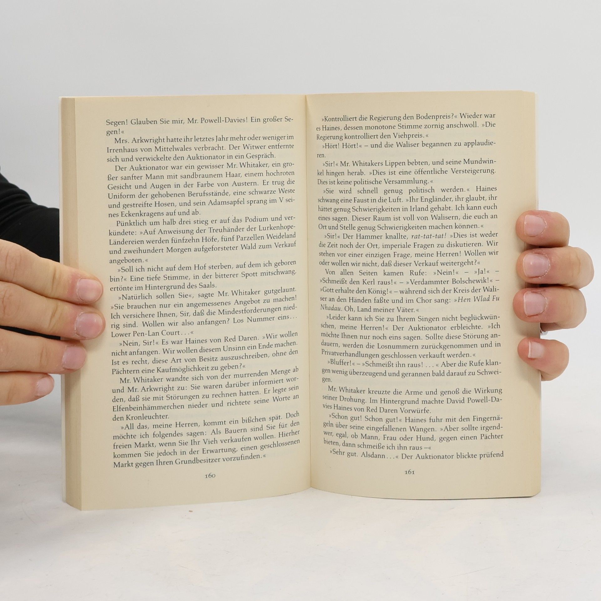 Bruce Chatwin Auf dem schwarzen Berg