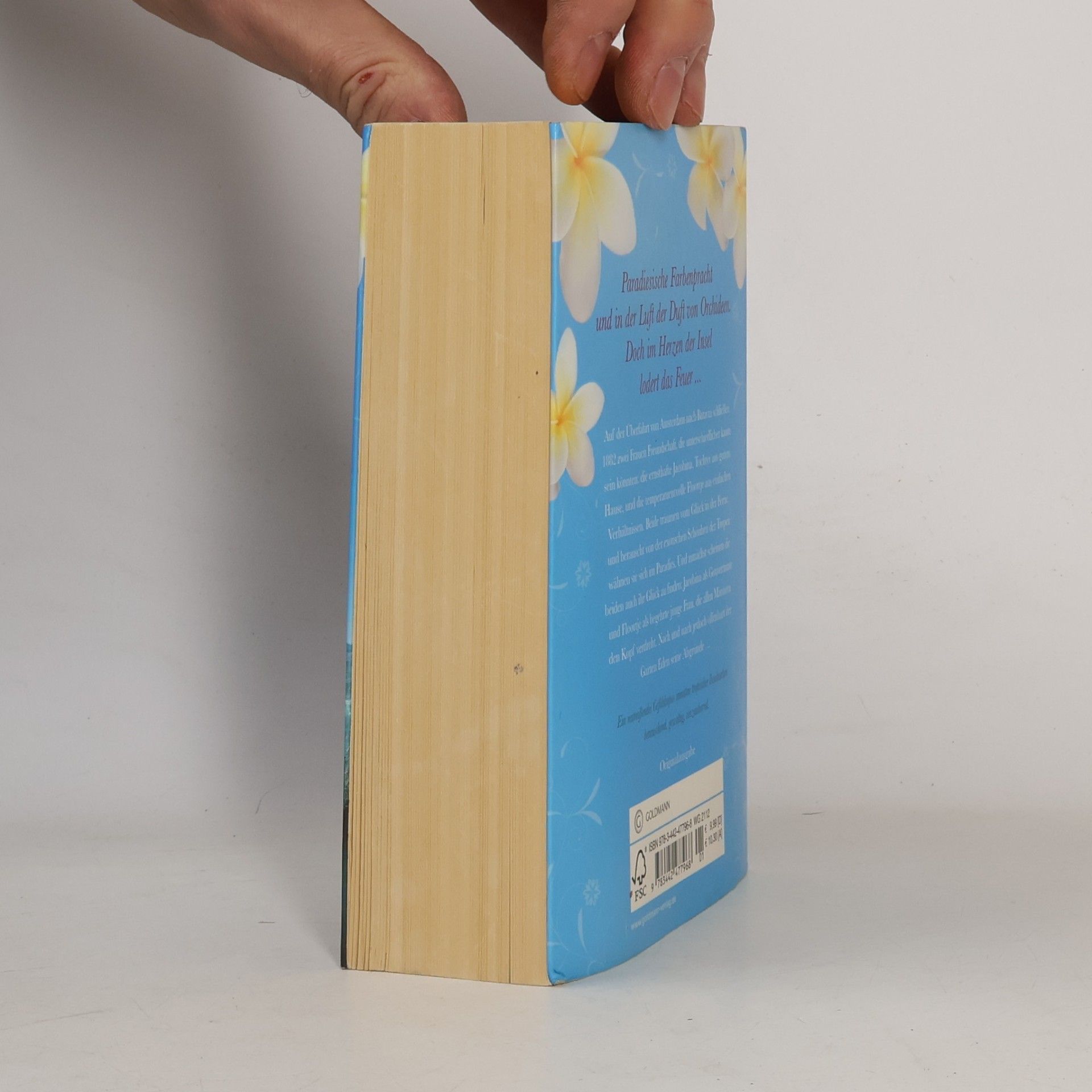 Nicole C. Vosseler Das Herz der Feuerinsel
