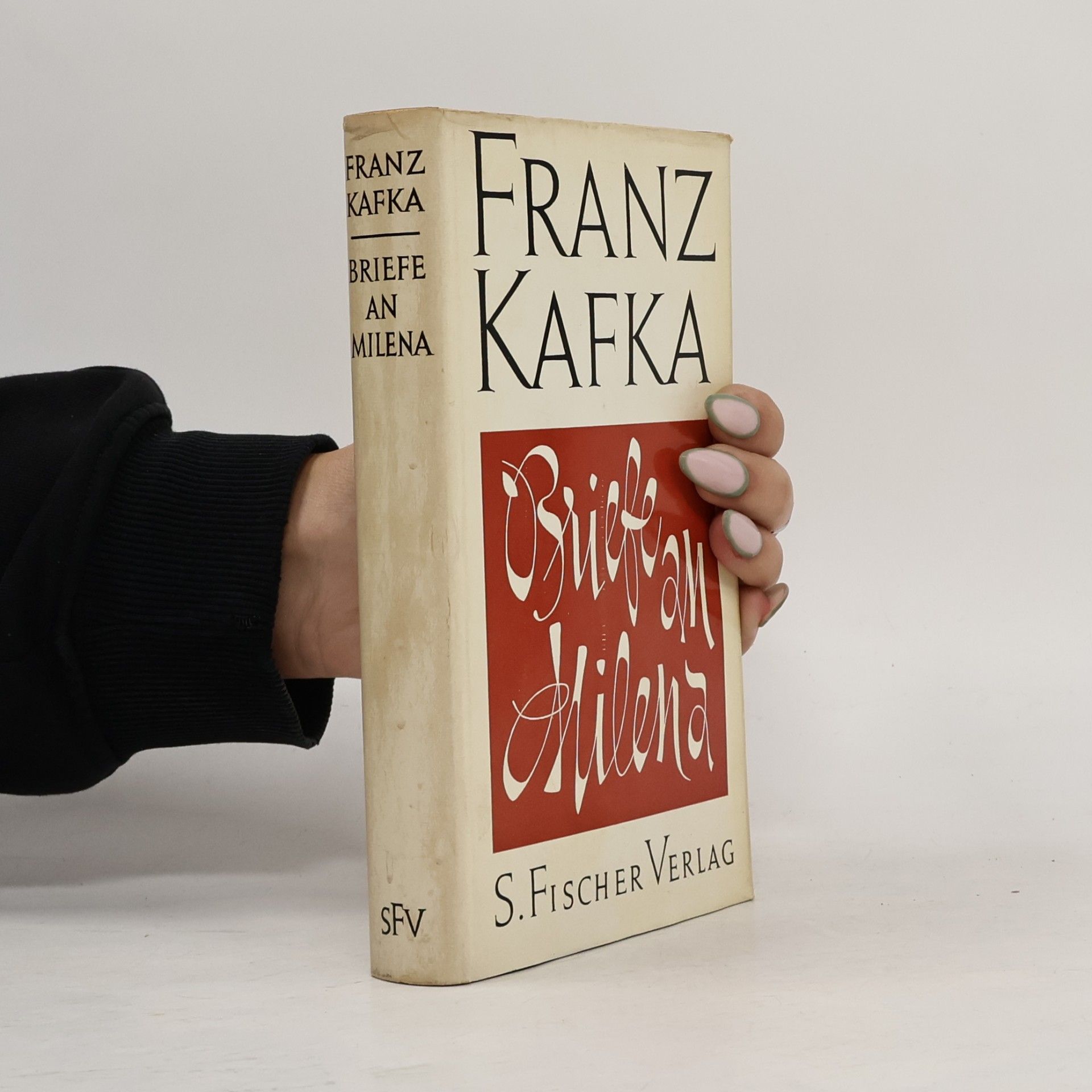 Franz Kafka Briefe an Milena