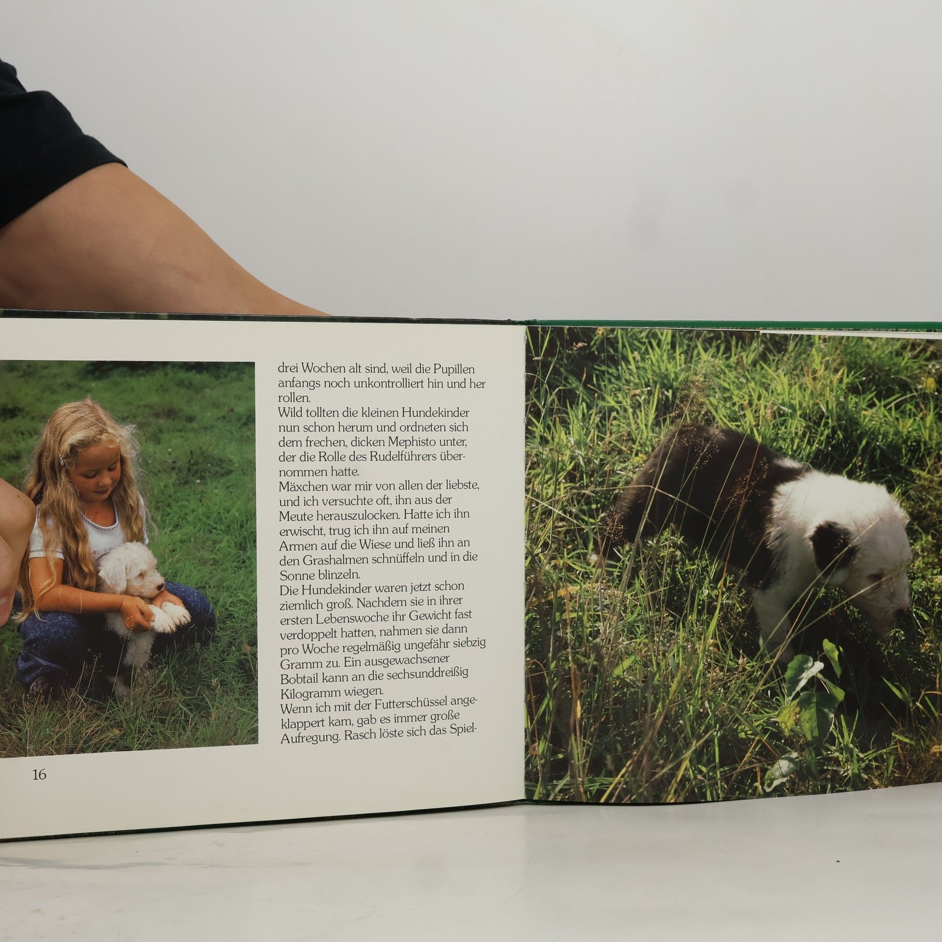 Andreas Fischer-Nagel Kinderstube der Tiere. Hunde