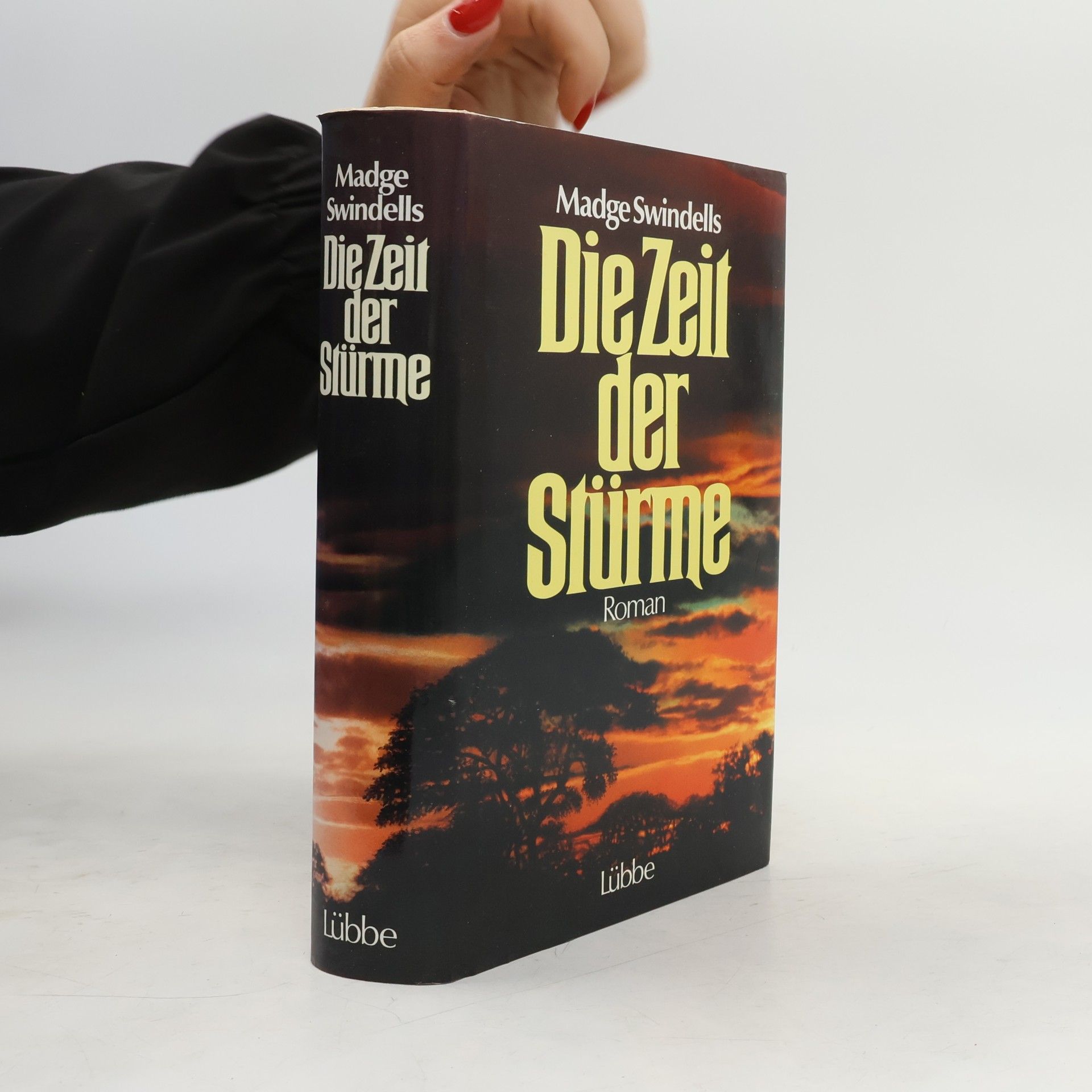 Madge Swindels Die Zeit der Stürme